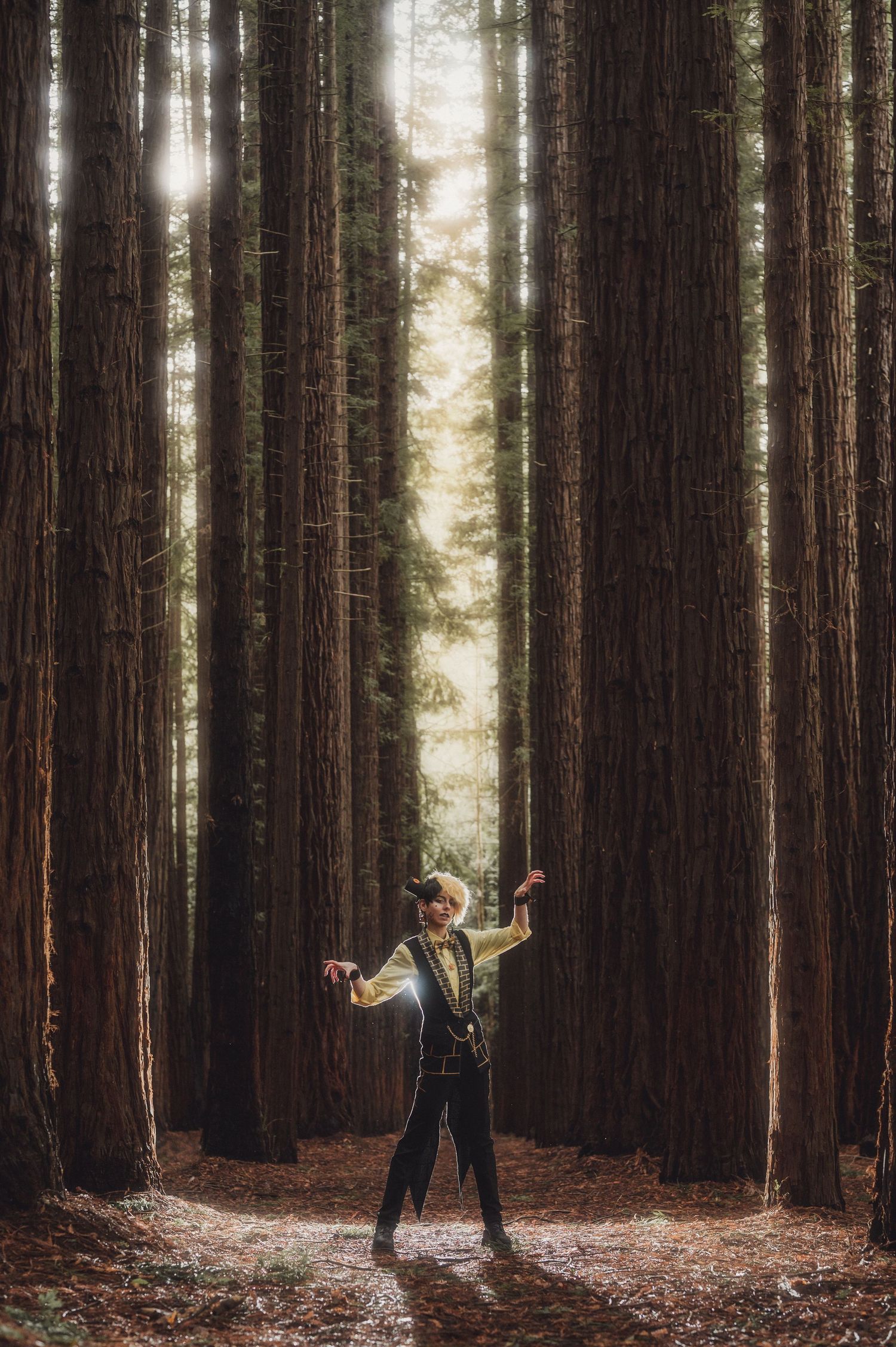 A playful group poses among tall redwood trees in a misty forest setting.