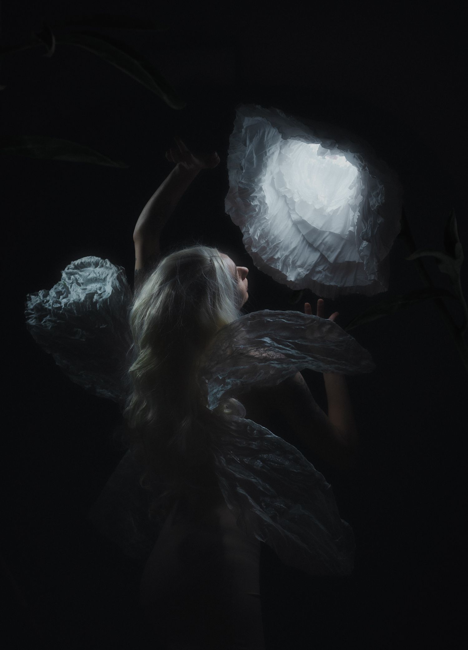Ethereal silhouettes emerge through dark smoke and light in an artistic black and white photography sequence.