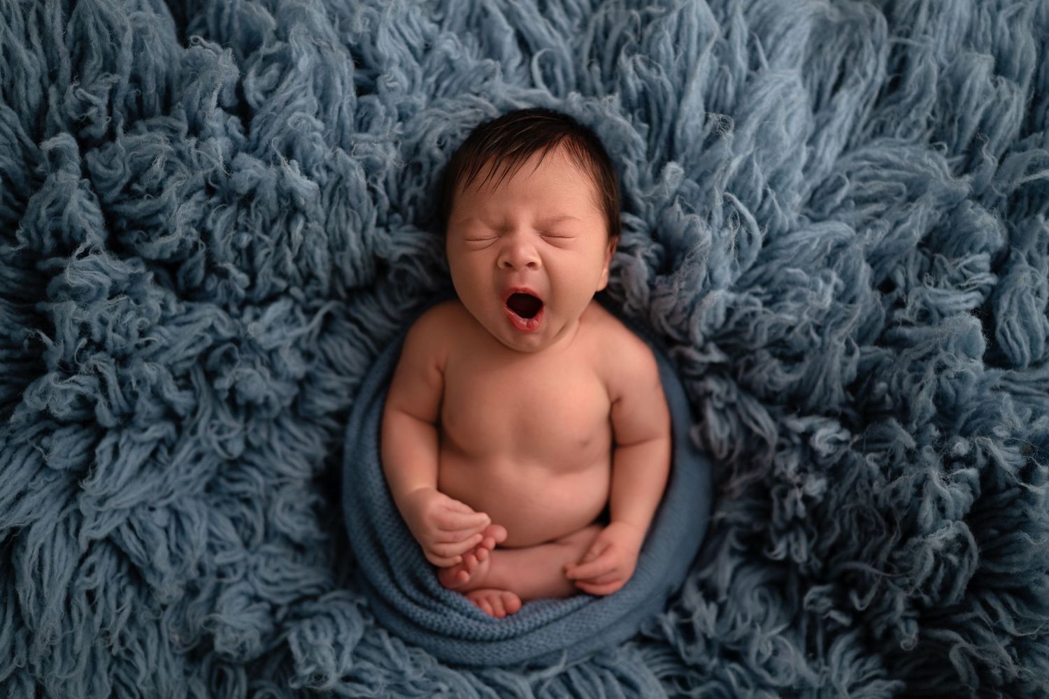 A newborn baby lying on soft gray fur blanket shown in six different poses during a professional photo session.