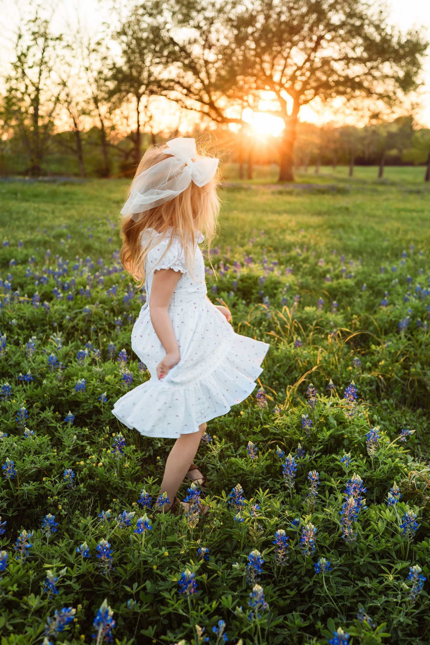 A white dress twirls through a field of blooming bluebonnets at golden sunset in Texas.