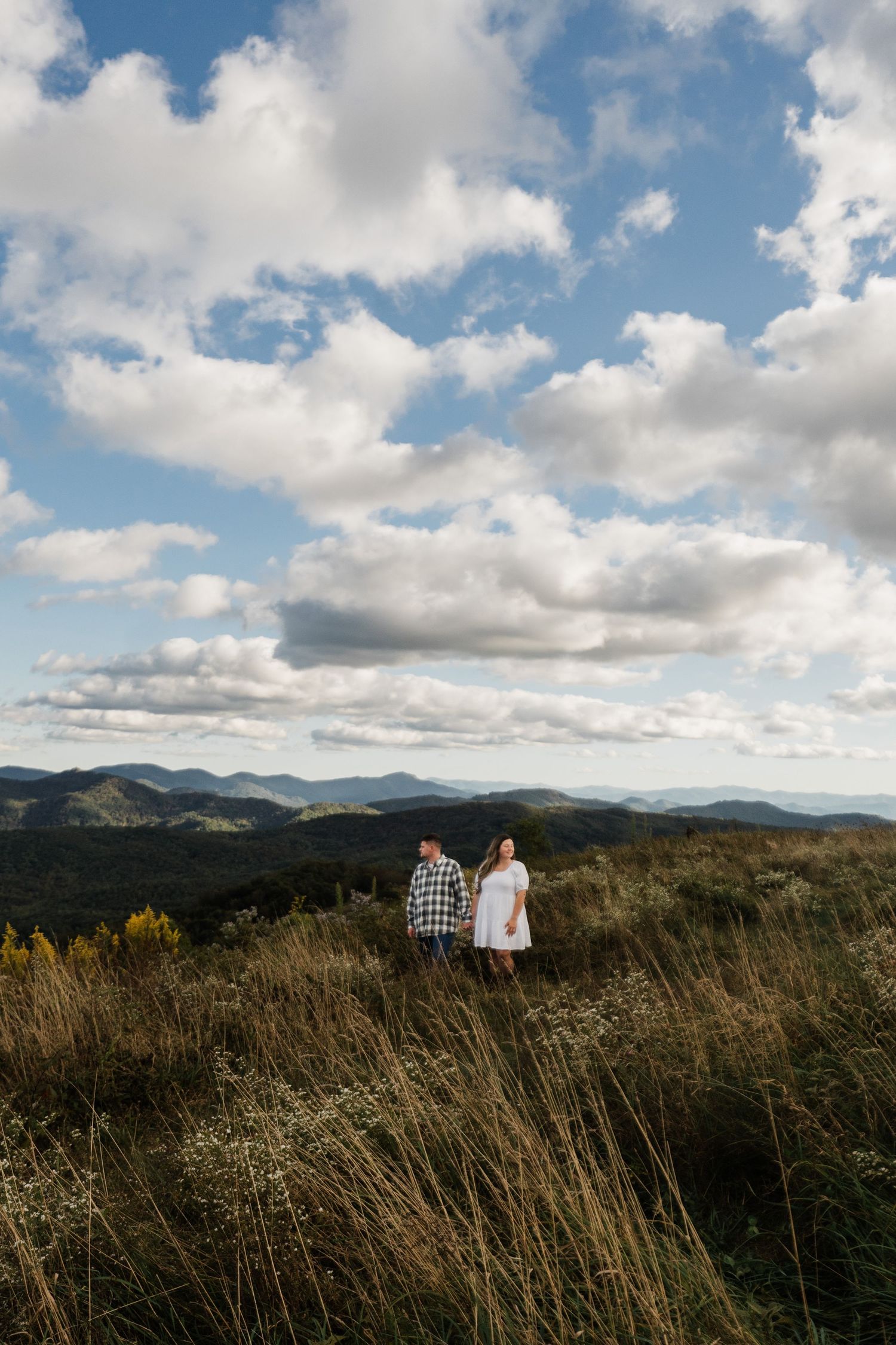 Couple facing away from each other, holding hands, and looking out over the Blue Ridge Mountains.