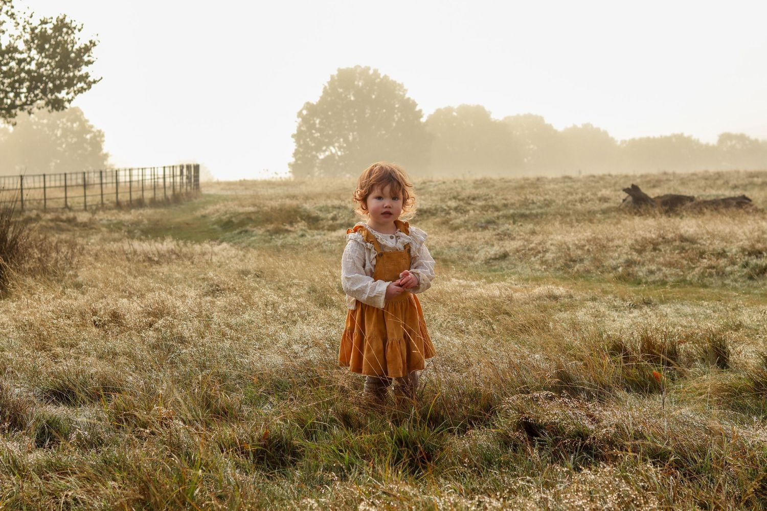 Soulful, cinematic family photography based in East Sheen. Capturing honest connections and natural light portraits in Richmond Park.