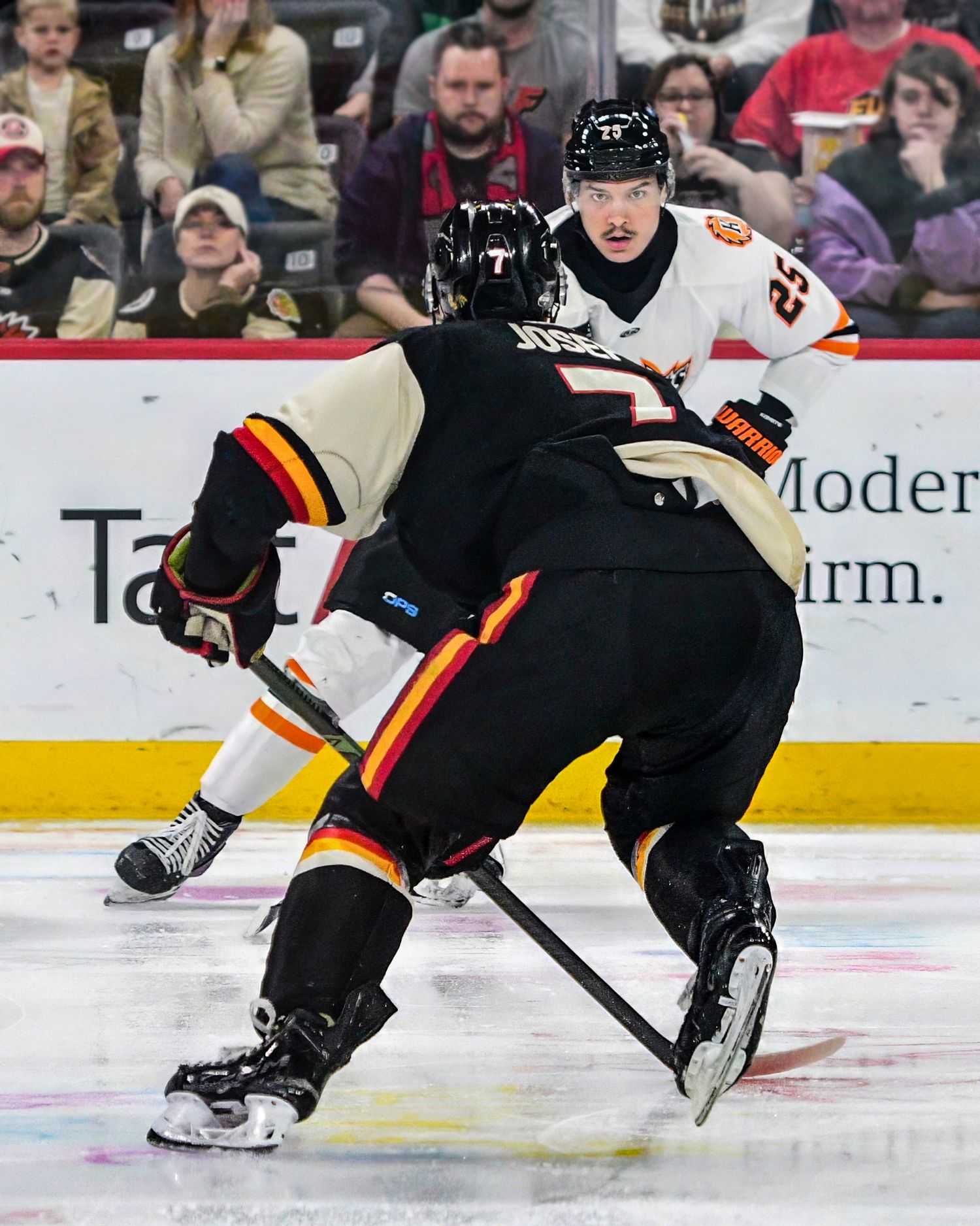 Professional minor league hockey players during a game