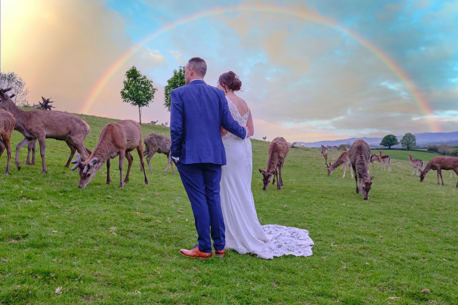Bride and groom admire a stunning rainbow over a deer-filled meadow on their wedding day.