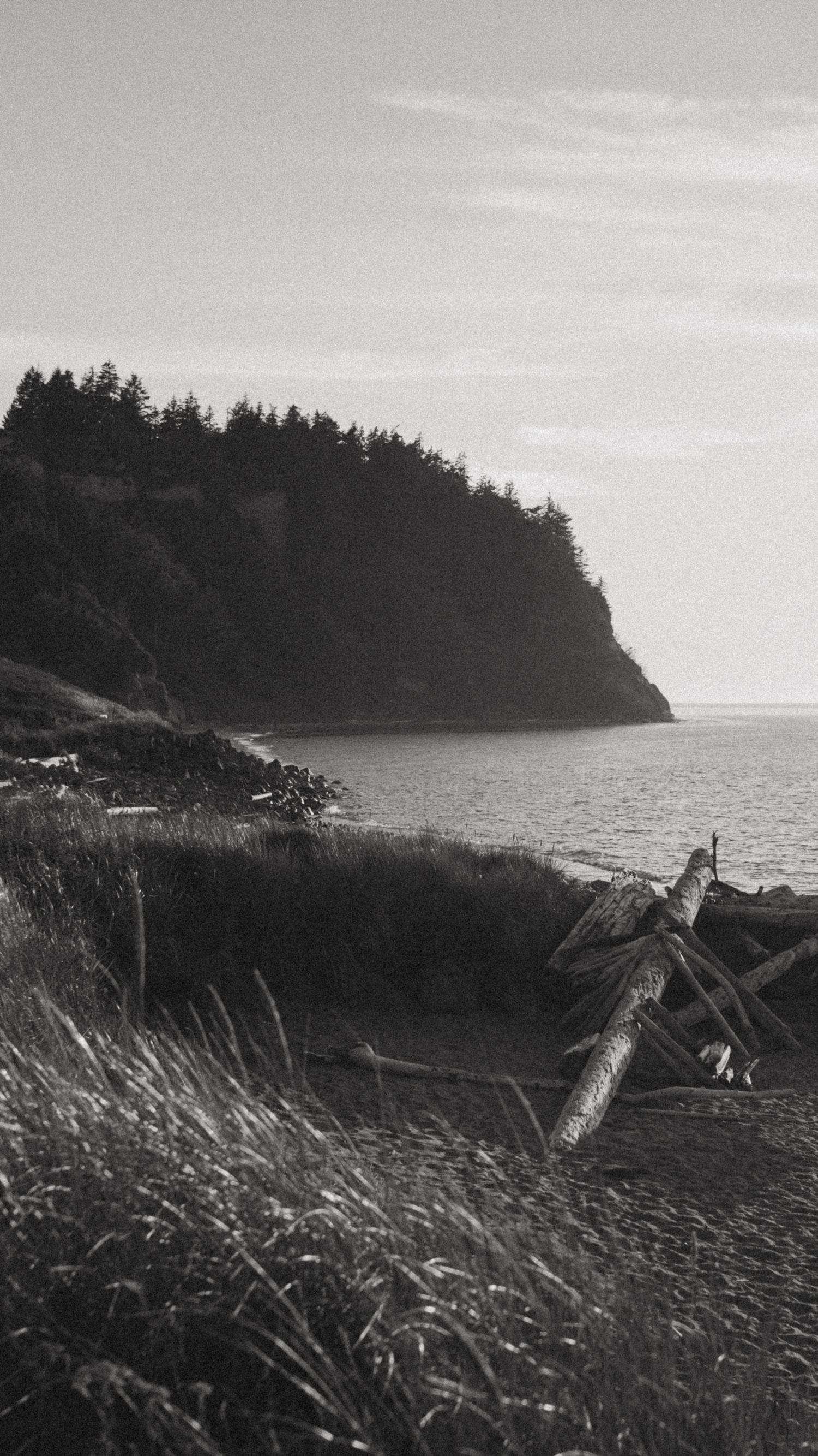 A black and white panoramic sequence of a rugged coastal landscape with driftwood and tall grass against a moody sky.