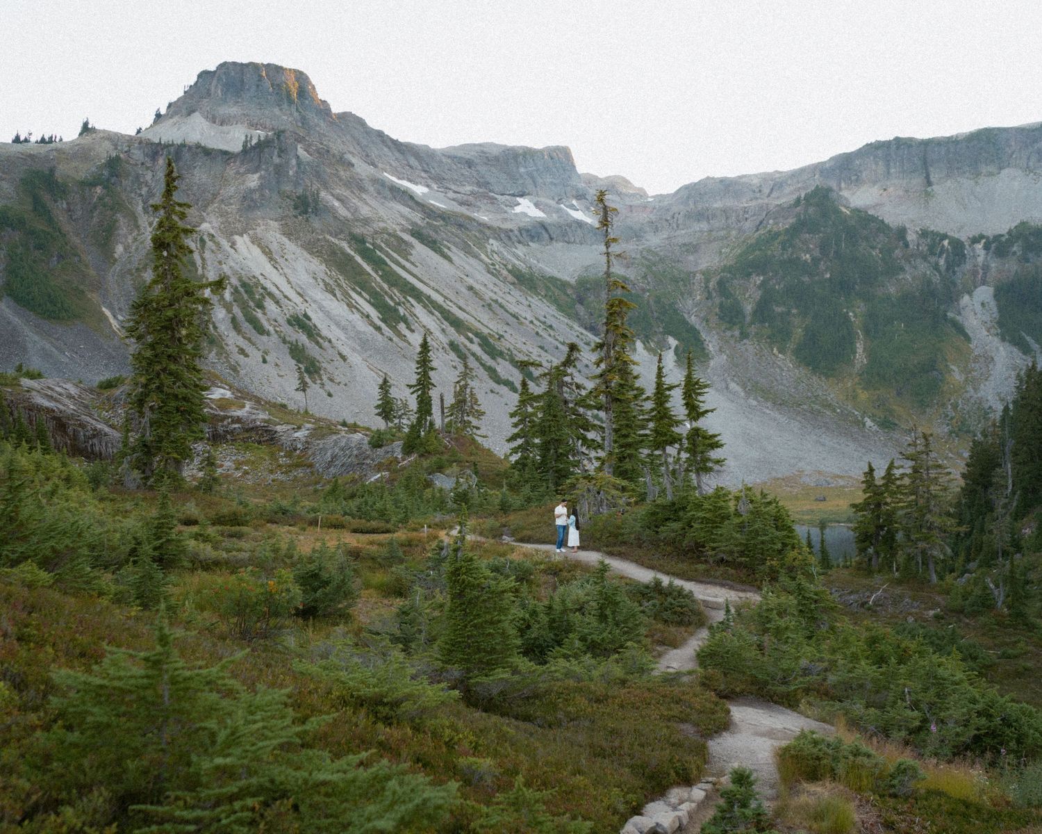 A lone hiker walks along a winding trail through evergreen trees and alpine meadows toward rugged, misty mountain peaks.