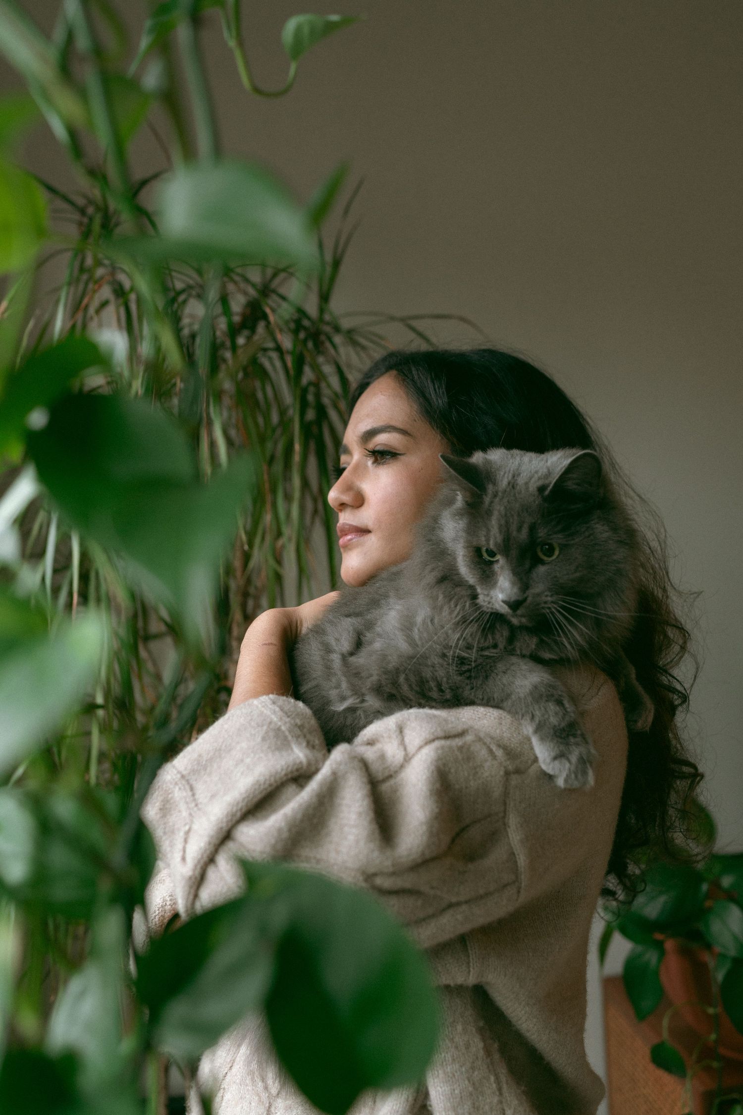 Grey cat and person in beige sweater pose among indoor plants by window.