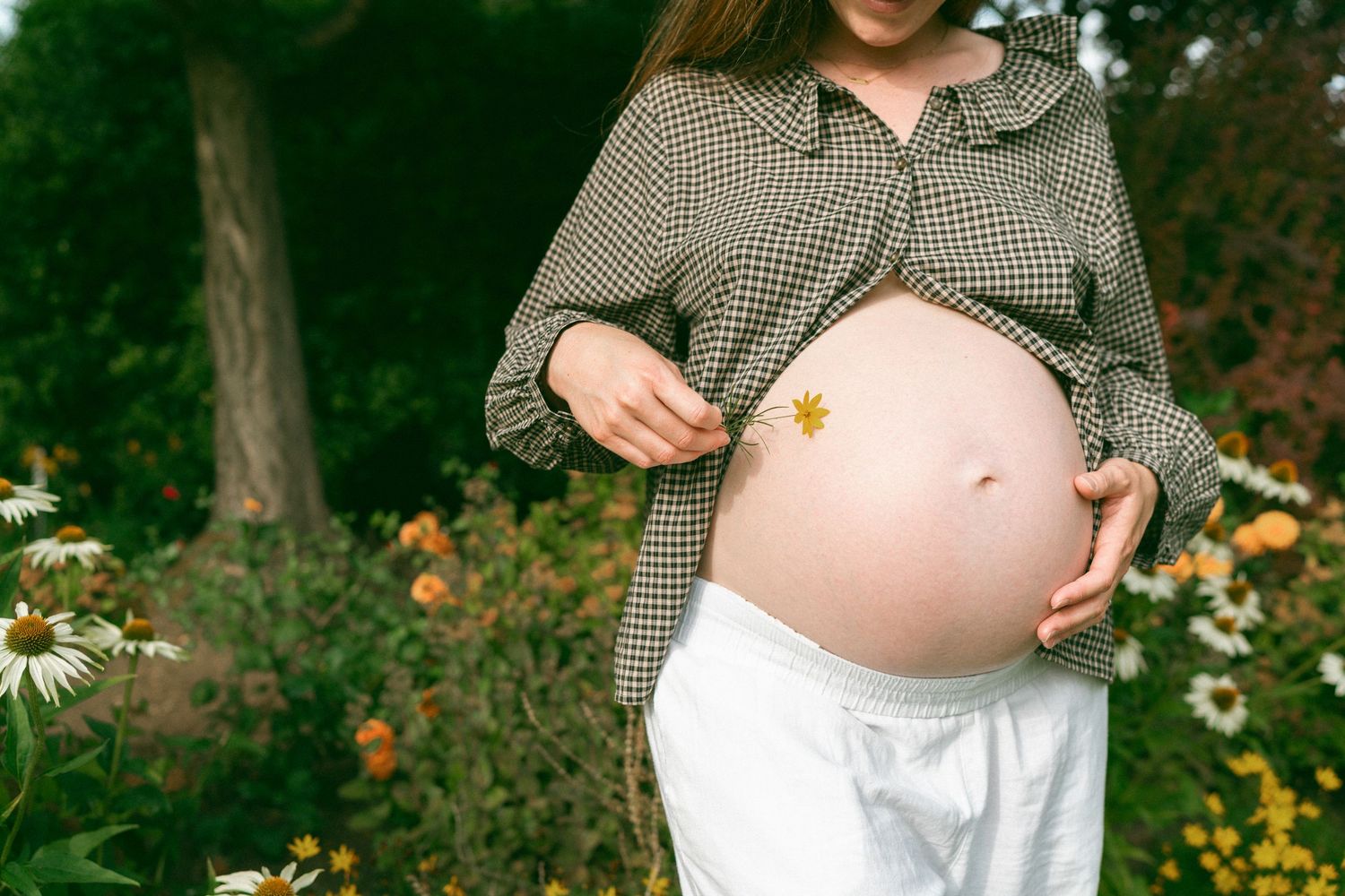 Close-up maternity photo showing pregnant belly with gingham shirt in garden.