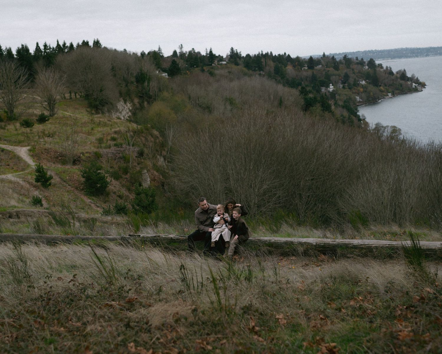 Scenic coastal landscape with evergreen trees and water views on a cloudy day.