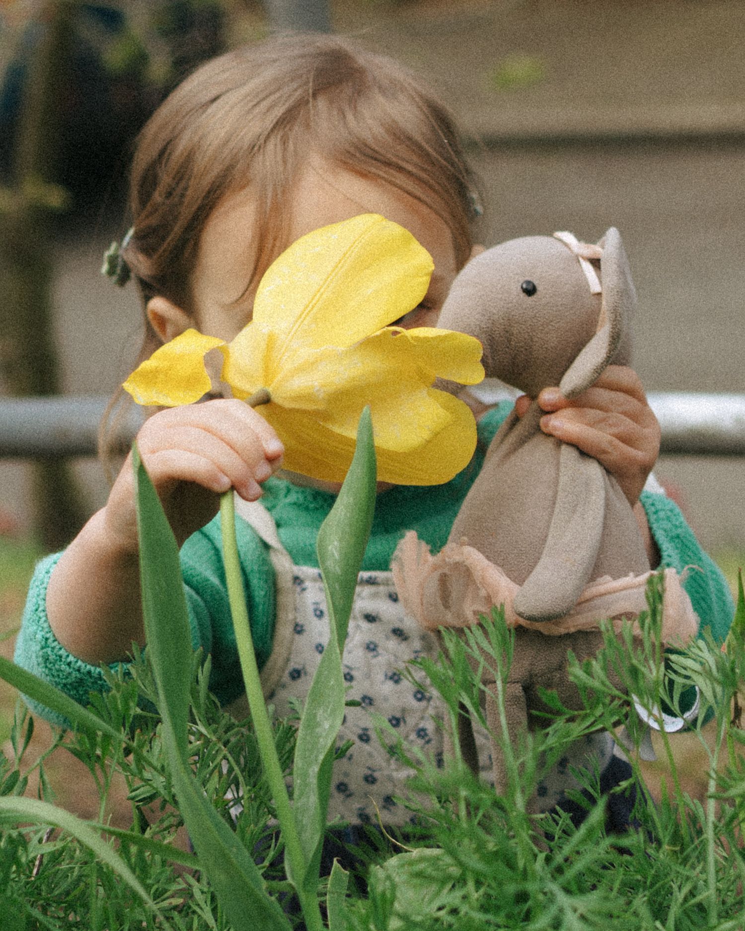 A toddler hides behind a yellow daffodil while holding a soft bunny toy among green garden plants.