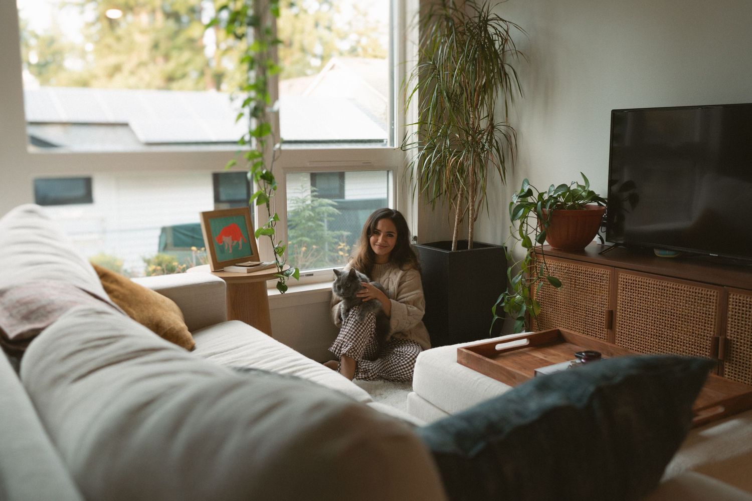 Sunlit interior scene with houseplants and window seating area.