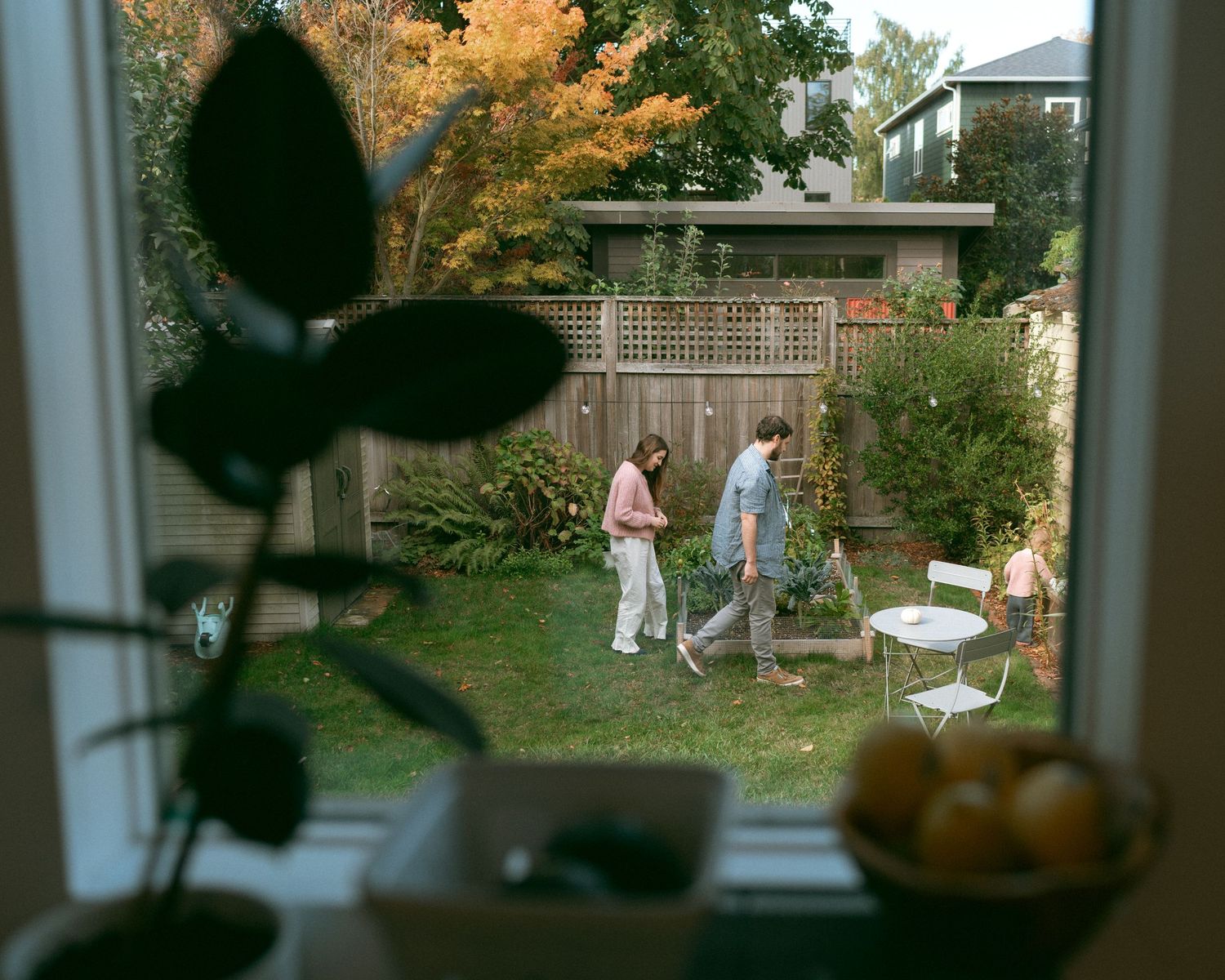Series of photos taken through a window showing autumn trees and outdoor activity in a backyard.