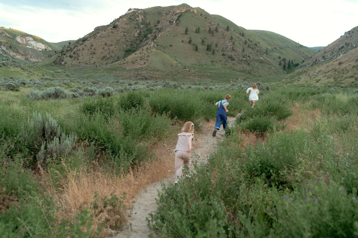 Three children walk single file along a narrow dirt trail through green sagebrush with rolling hills and mountains in the background.