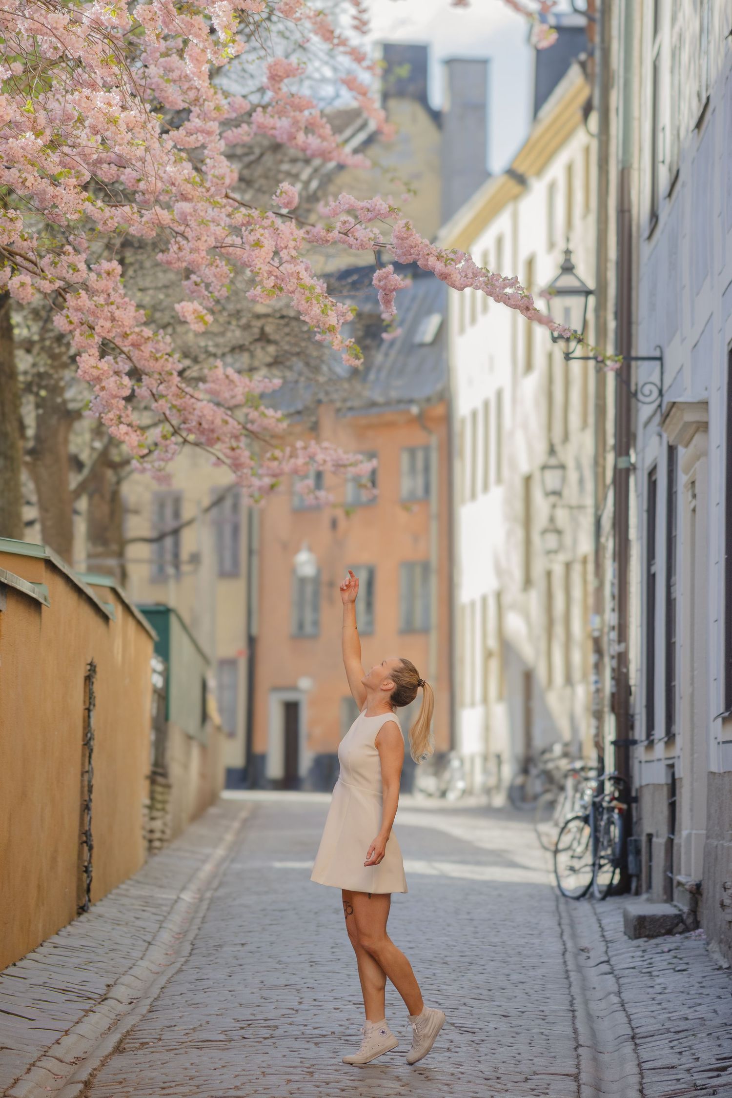 Soloresenär fotograferas i Gamla Stan under körsbärsblomningen i Stockholm.