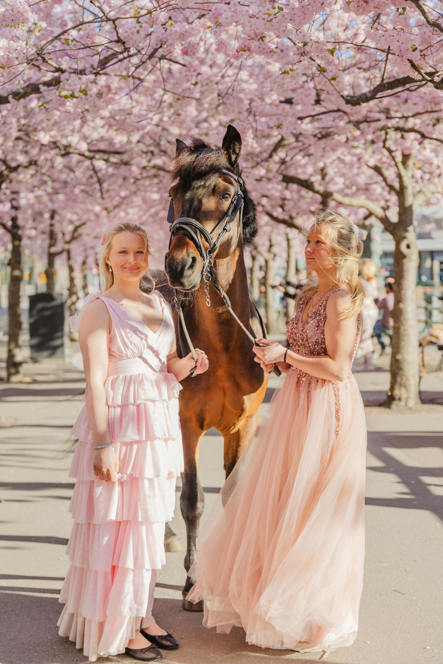 Porträttfotografering med två tjejer och en häst bland körsbärsblommorna i Kungsträdgården i Stockholm.