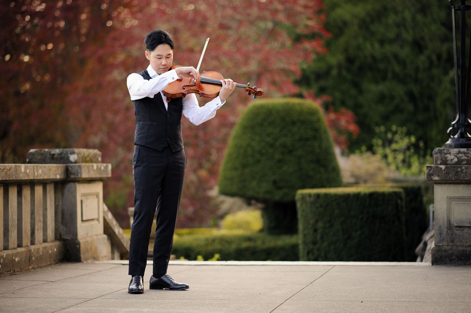 A man in an elegant vest plays viola by some strangely shaped bushes and red trees.