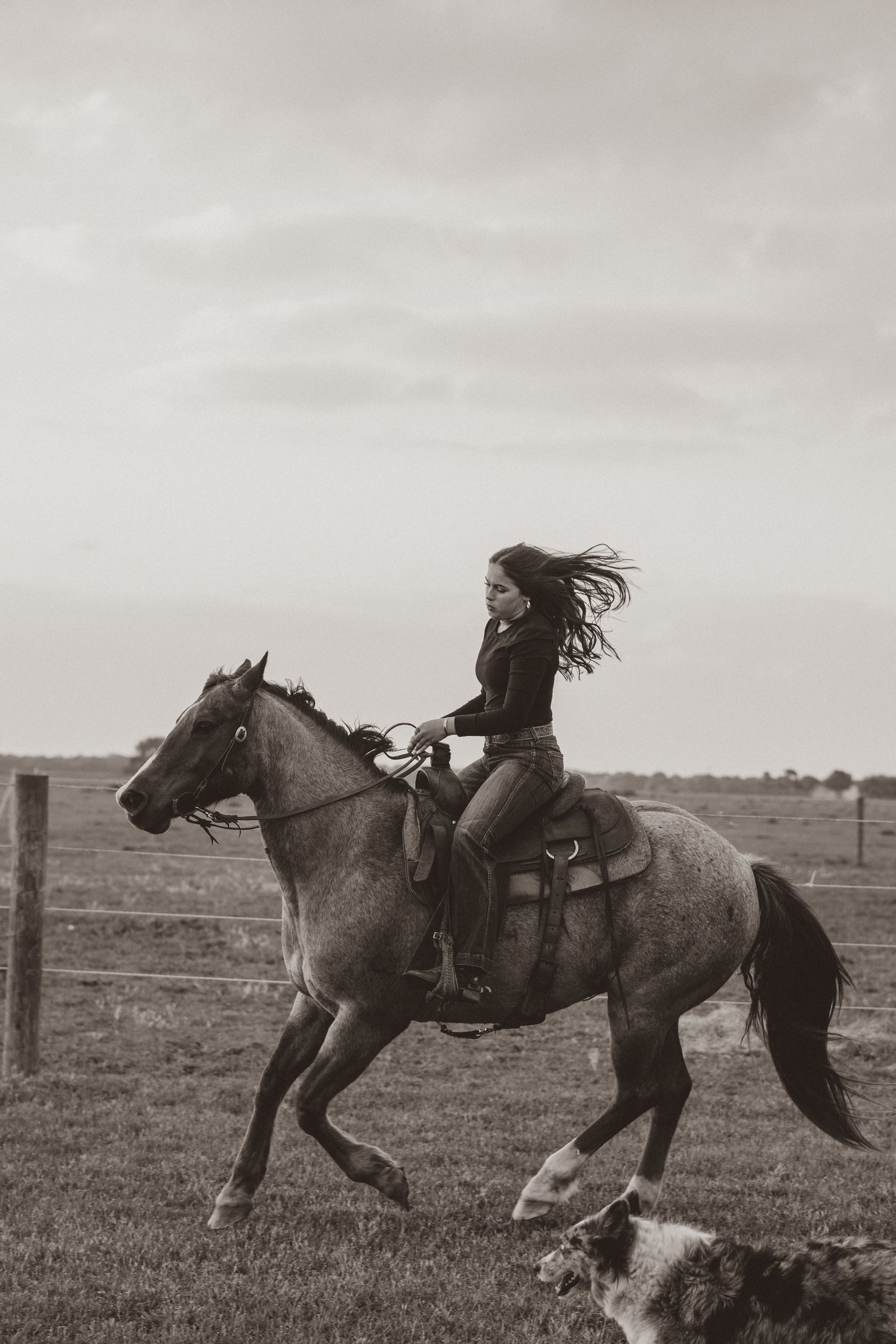 Dramatic black and white sequence of a horse galloping across an open field with rider.
