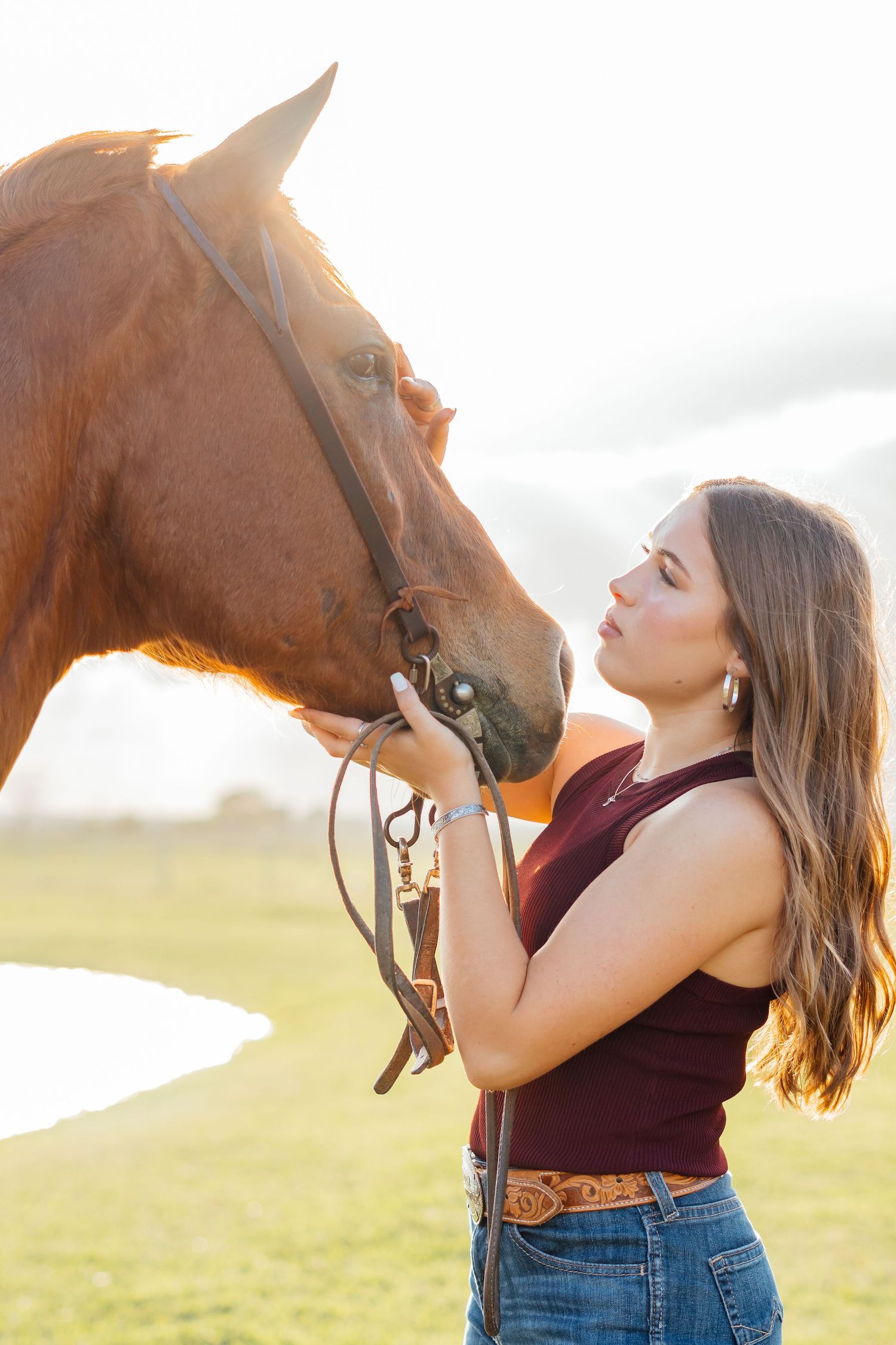 Person in burgundy top shares tender moment with brown horse in sunlit field.