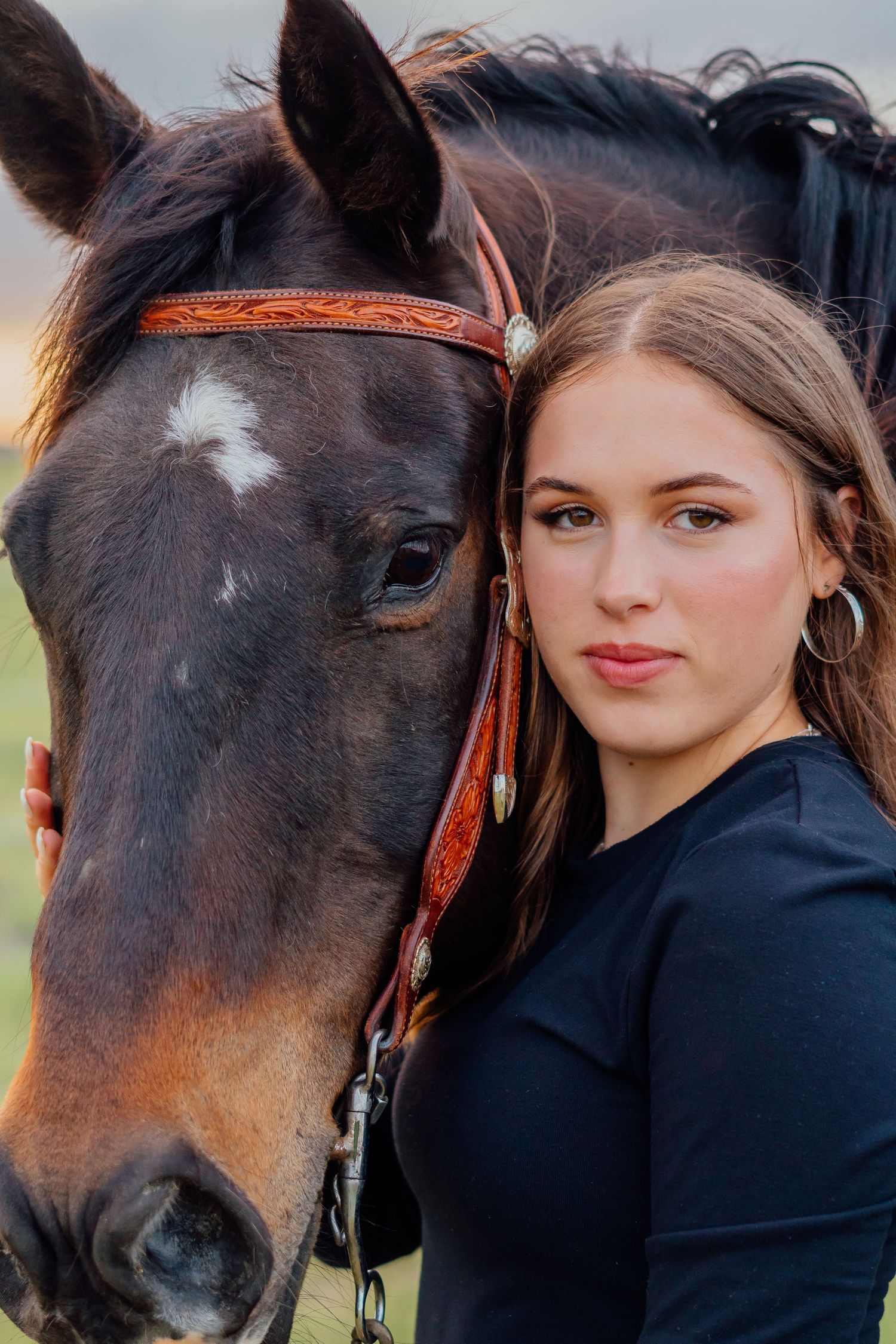 A series of closeup shots showing tender moments between a horse and its companion.