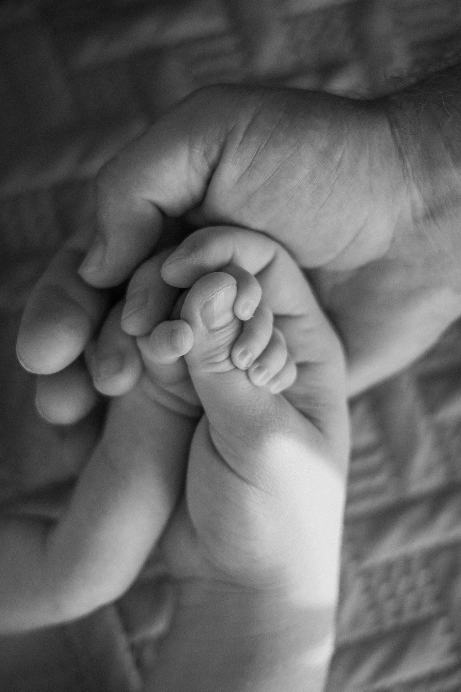 Black and white macro shots of baby toes being gently held.