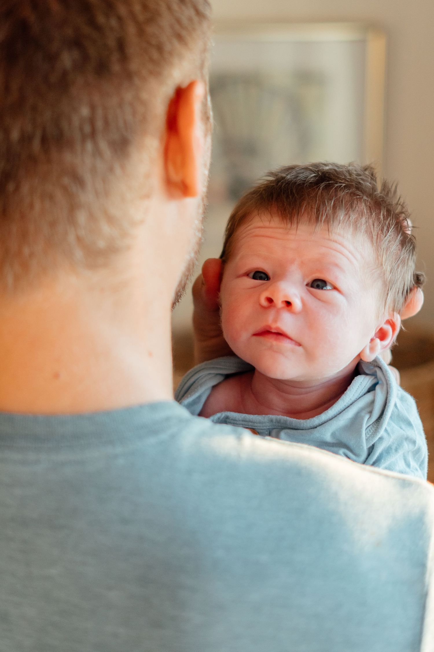 Series showing tender moments between newborn baby and parent in natural indoor lighting.