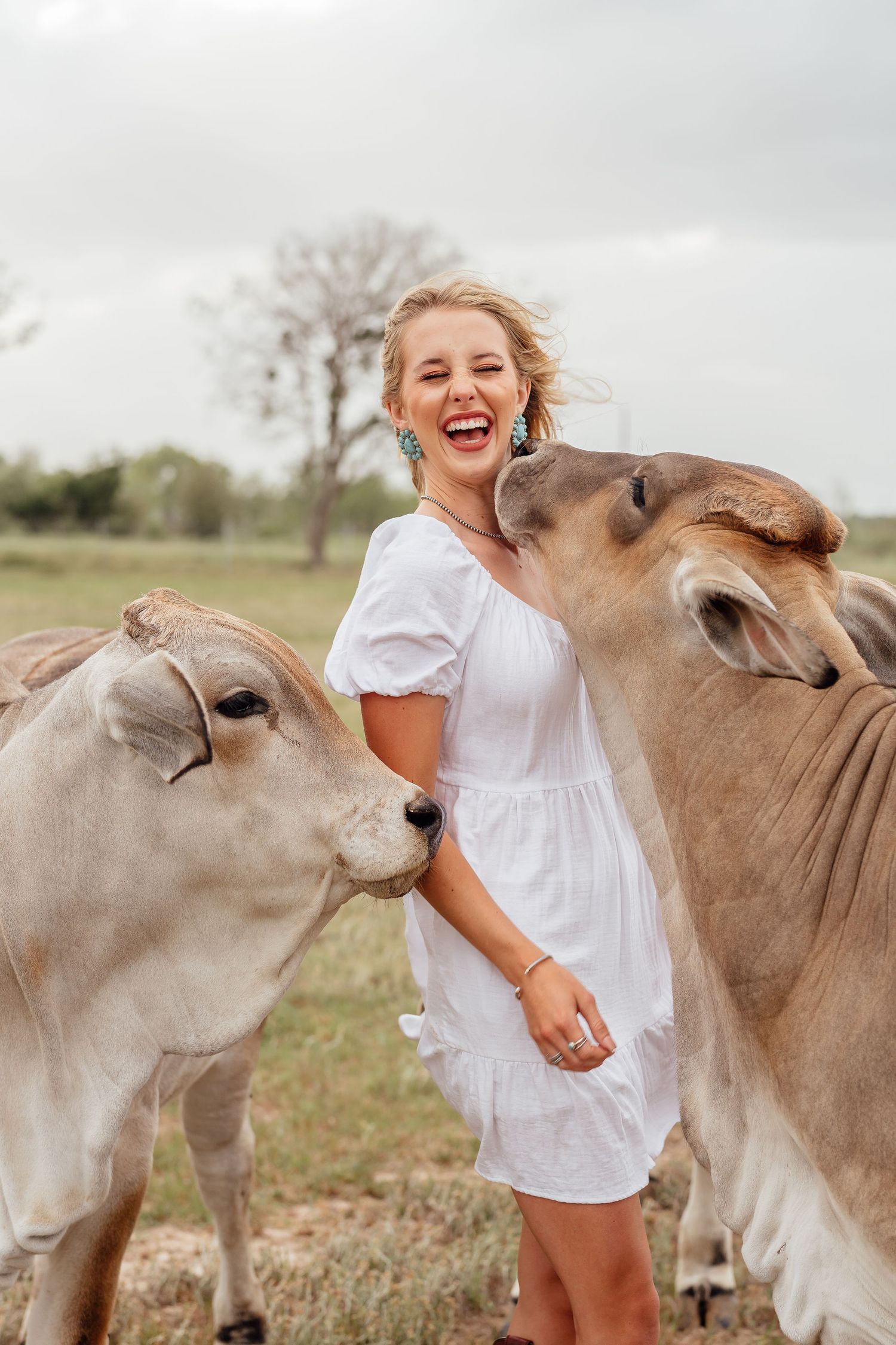Playful photoshoot with donkeys in field showing interaction between woman in white dress and friendly animals.
