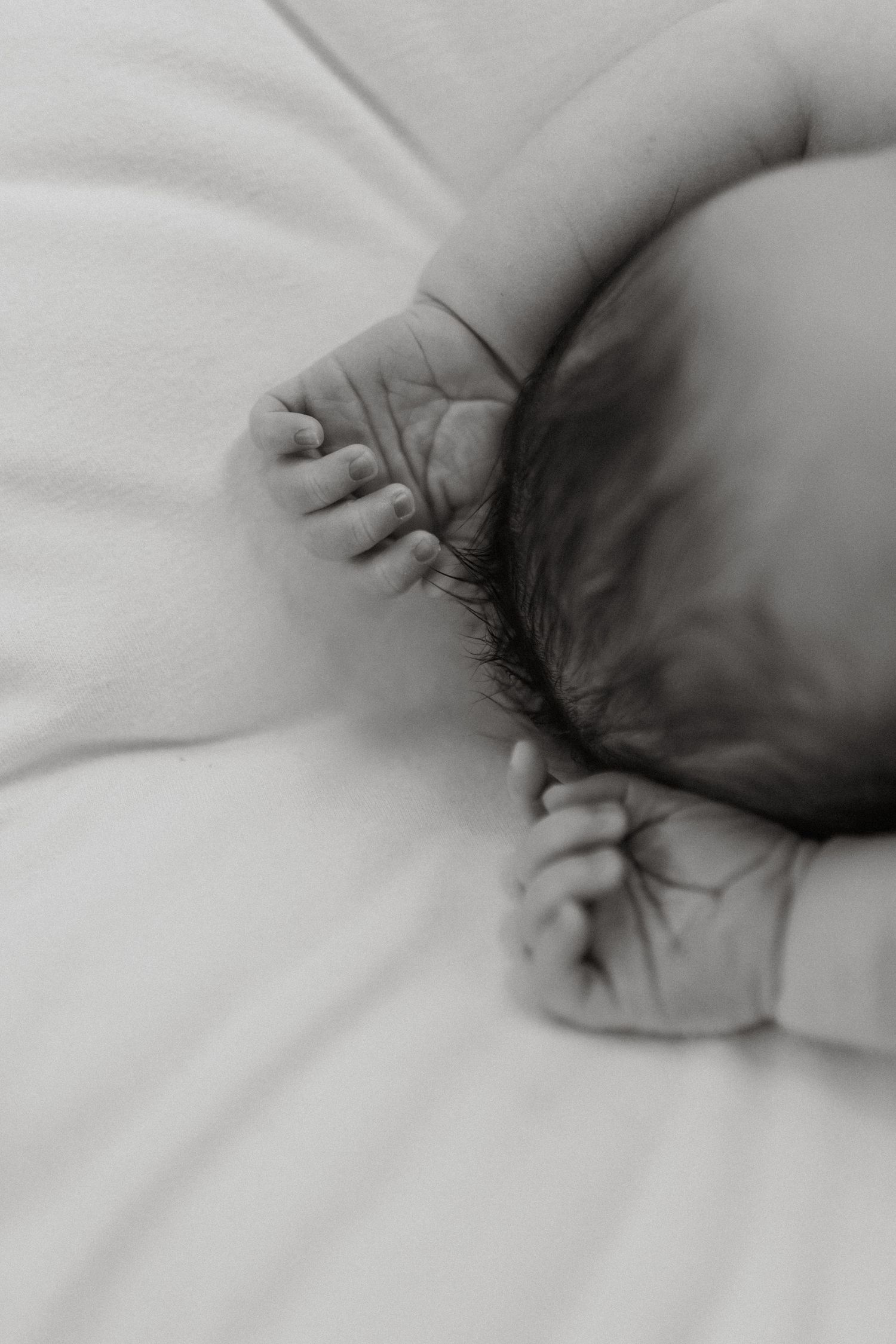 Black-and-white close-up of a sleeping newborn curled peacefully on a soft white blanket, with tiny hands resting near their face.