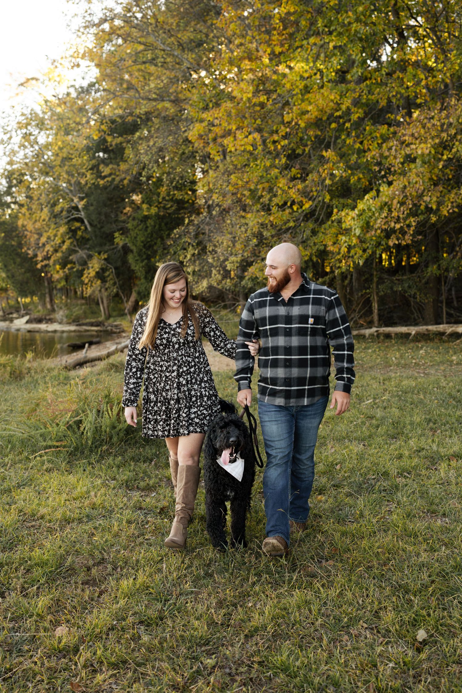 A couple walks with their black dog through an autumn field with golden trees in the background.