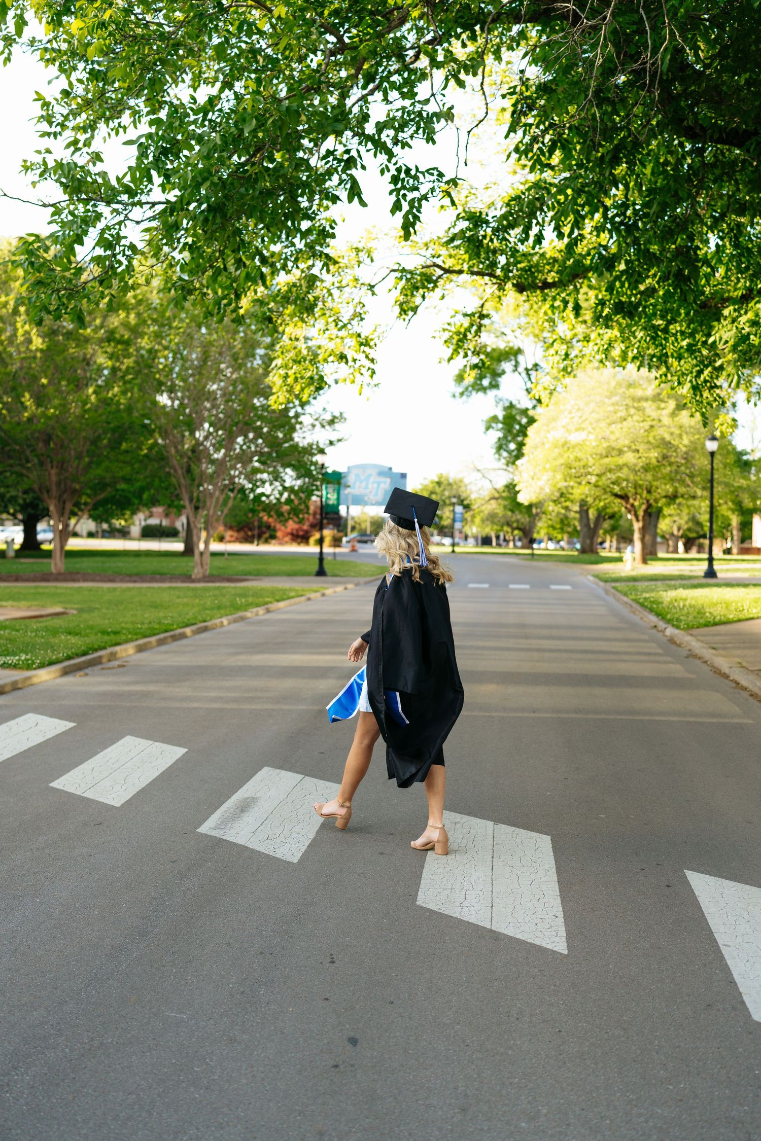 MTSU grad photos. Tree-lined street with crosswalk on sunny day in Murfreesboro TN at Middle Tennessee State University.