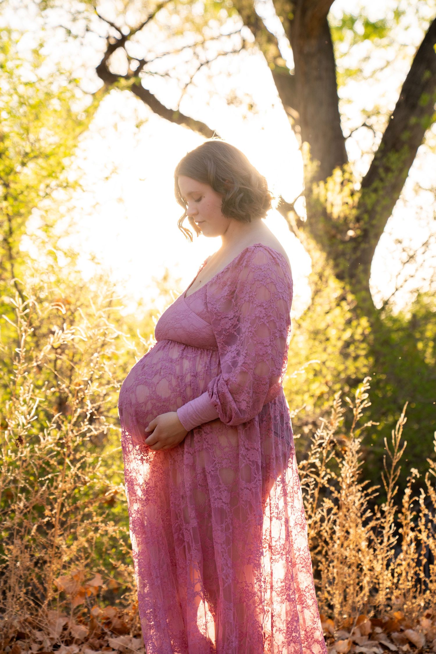 A pink lace maternity dress glows in golden sunlight against a natural outdoor setting.