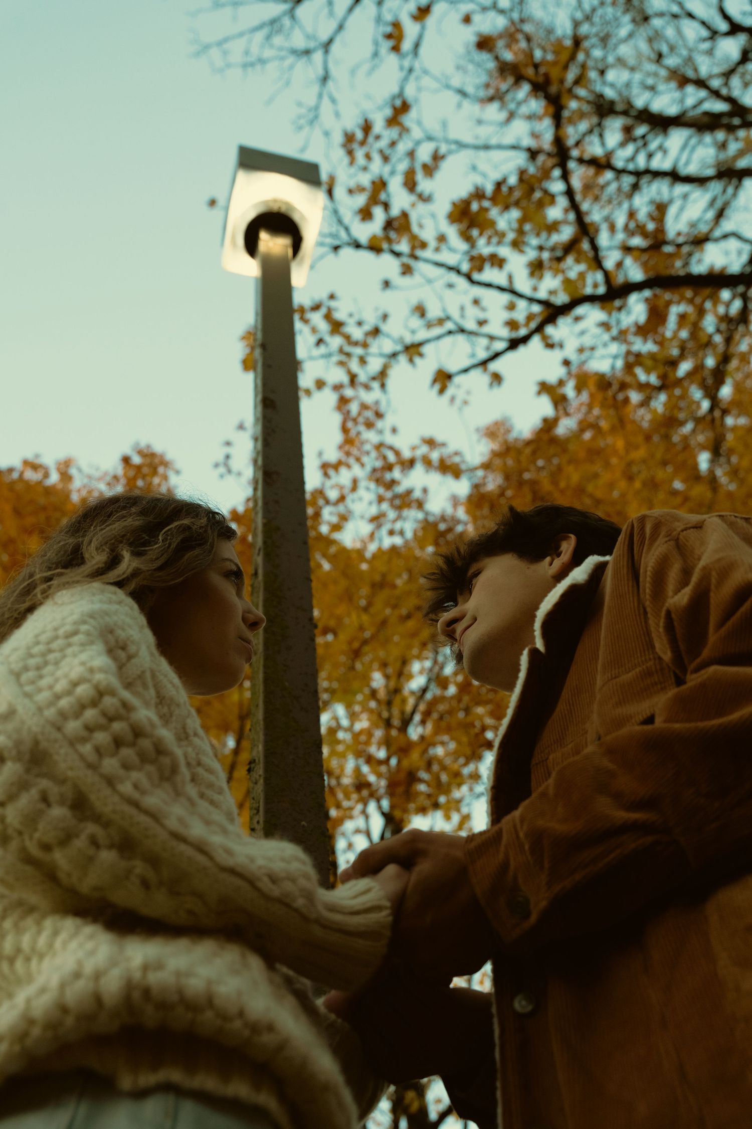 Low angle view of people against autumn trees and sky at sunset.