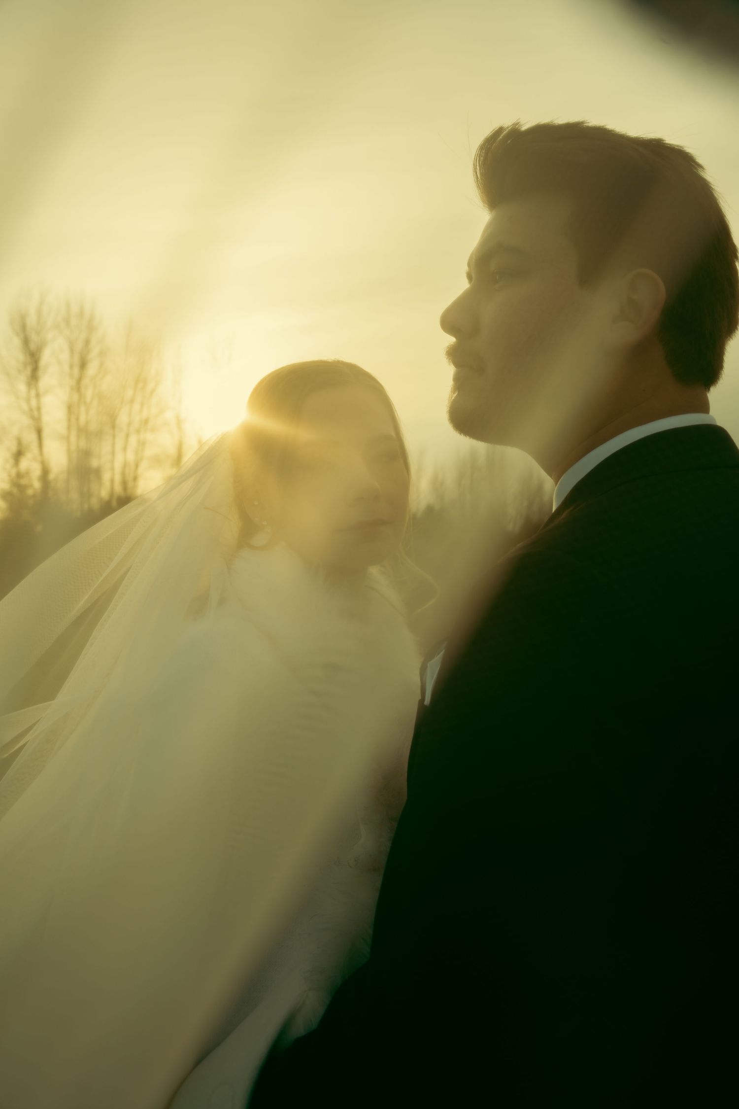 Silhouetted couple embraces in a romantic sunset moment with golden light filtering through their profiles.