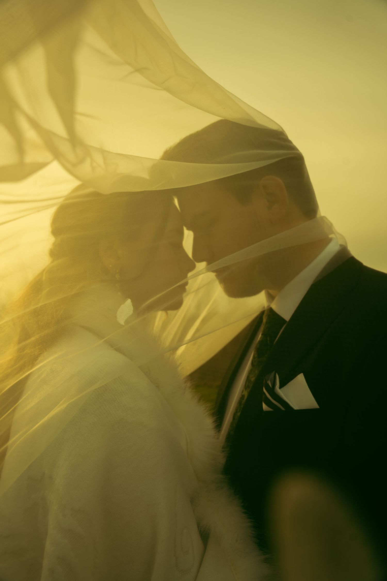 Romantic silhouette of a couple under flowing veil with warm golden lighting.