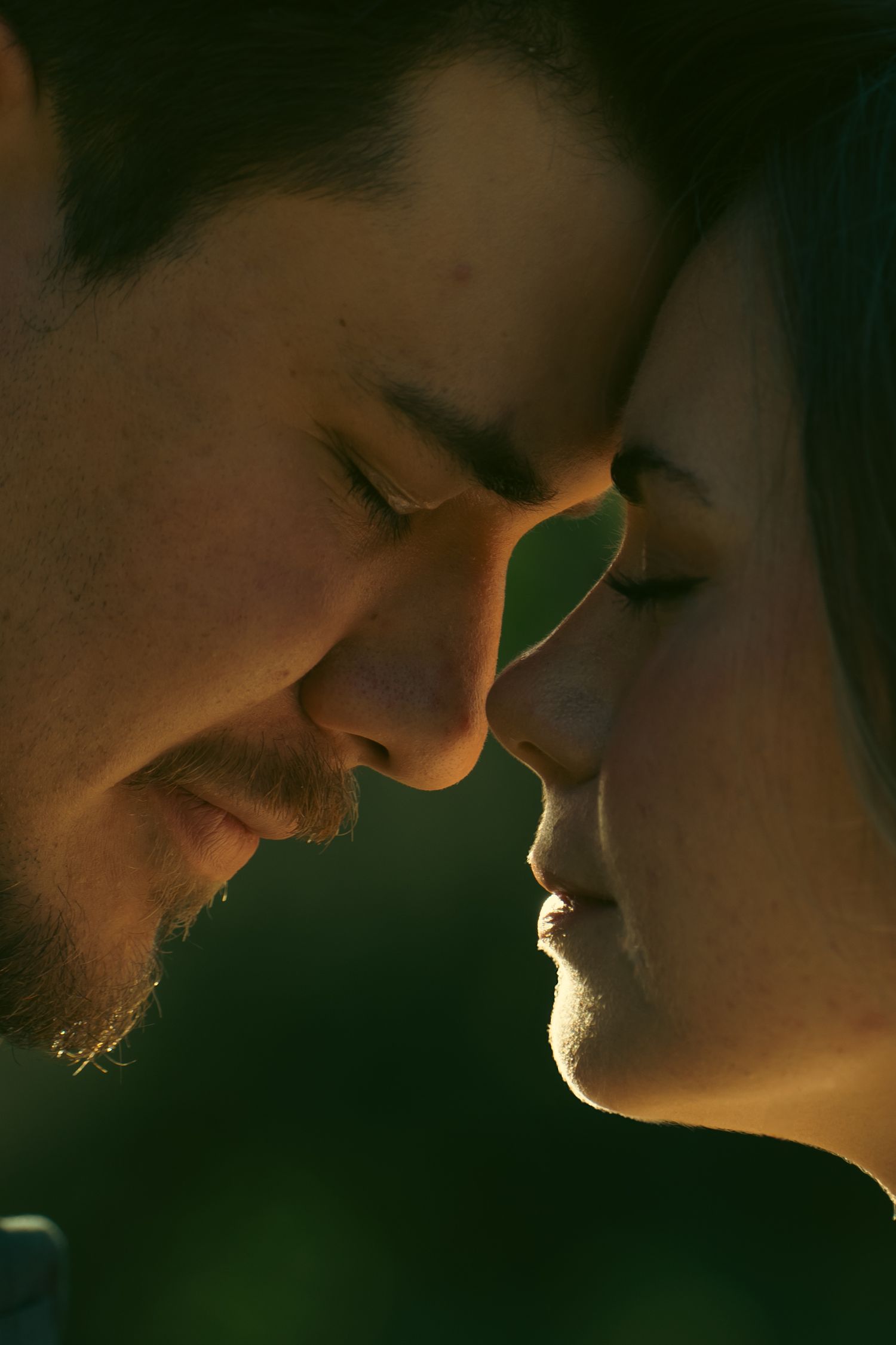 Close-up profile of a romantic couple with foreheads nearly touching, bathed in warm golden light.
