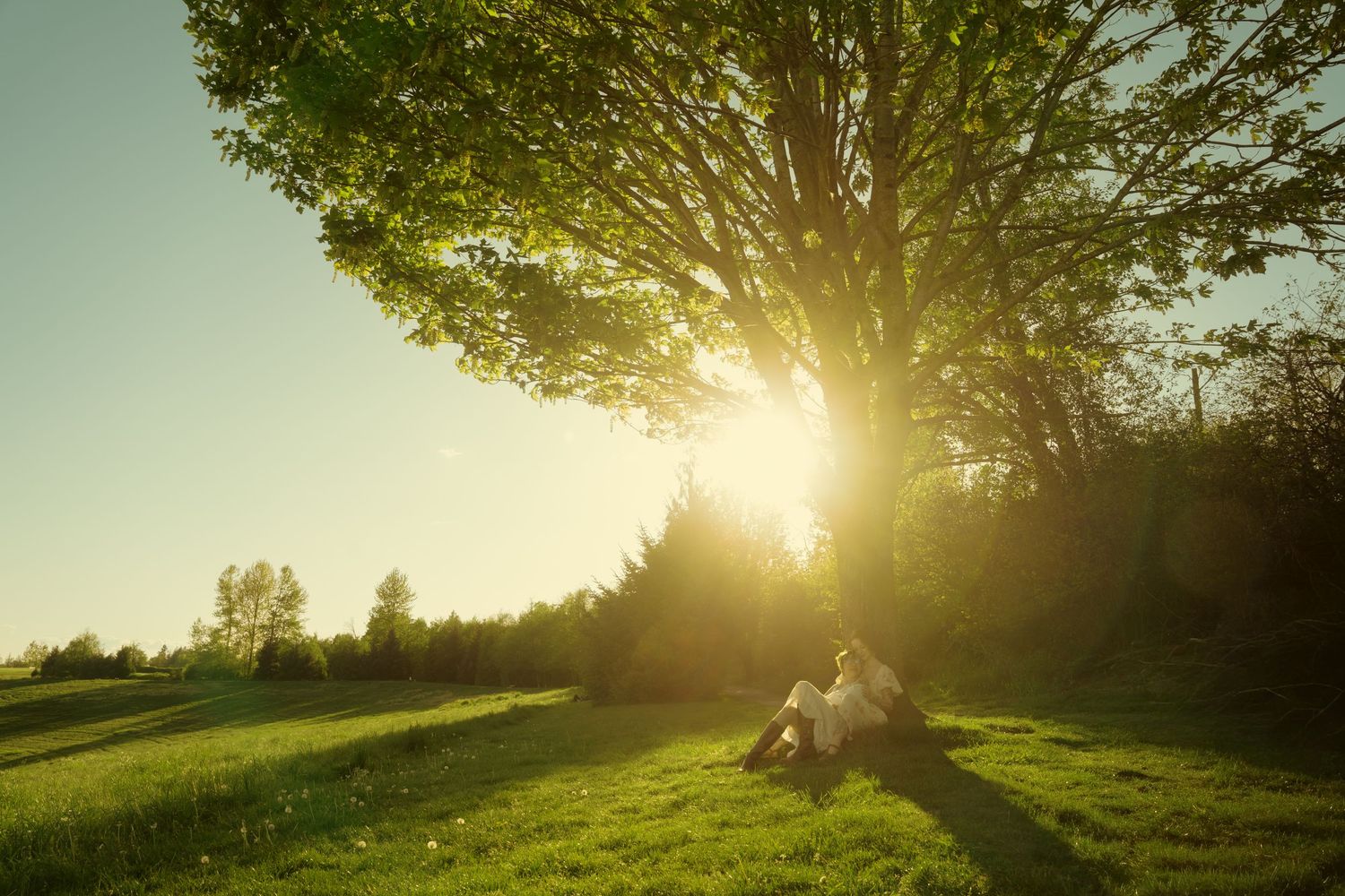 Two people sit beneath a large tree in a glowing sunlit meadow at golden hour.