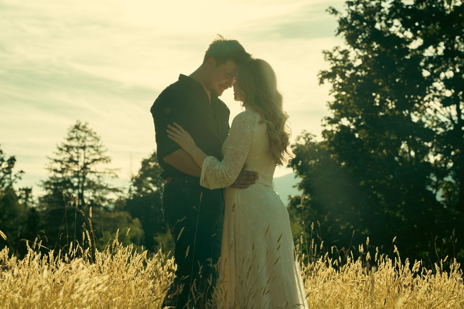 Romantic couple embracing in golden field at sunset, surrounded by tall grass and trees in warm light.