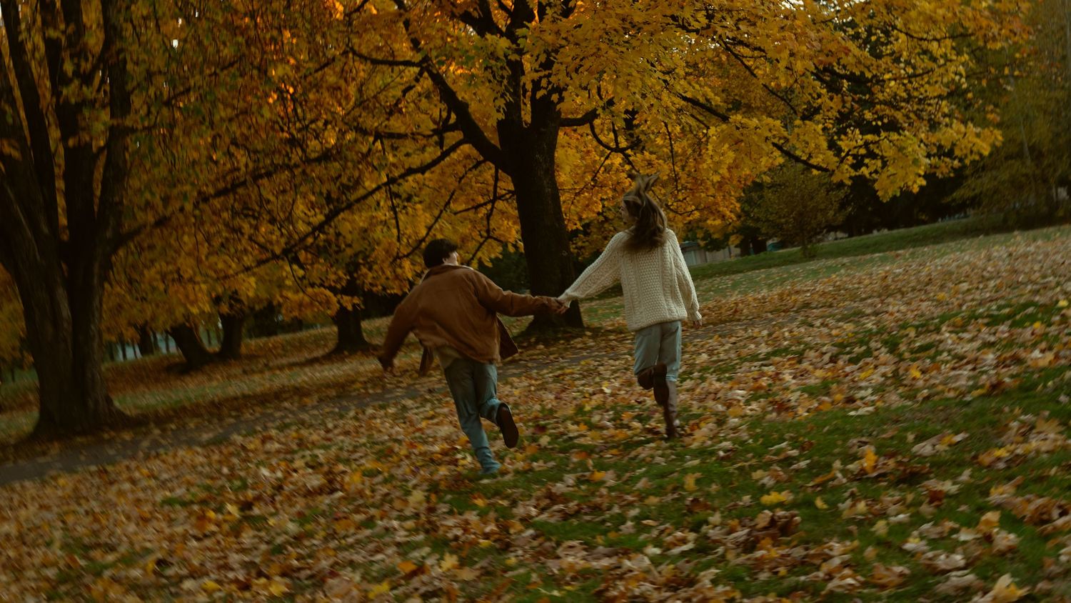 Wide panoramic view of autumn landscape with fallen leaves.