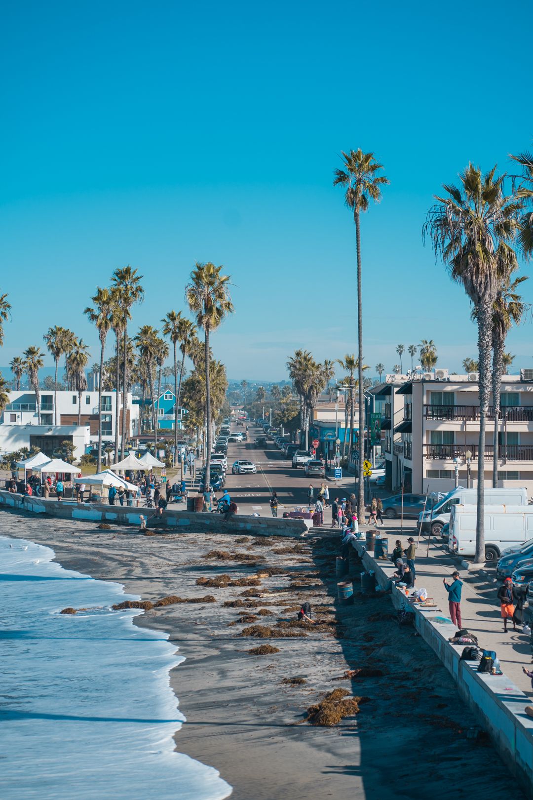 Palm tree lined beach with waves crashing against rocky shoreline on sunny day.