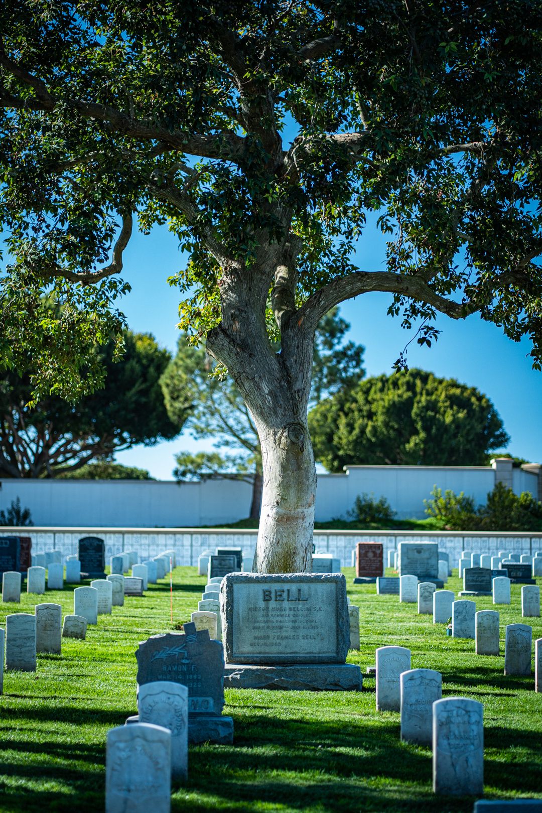 Military cemetery headstones line green grass beneath large shade trees on sunny day.