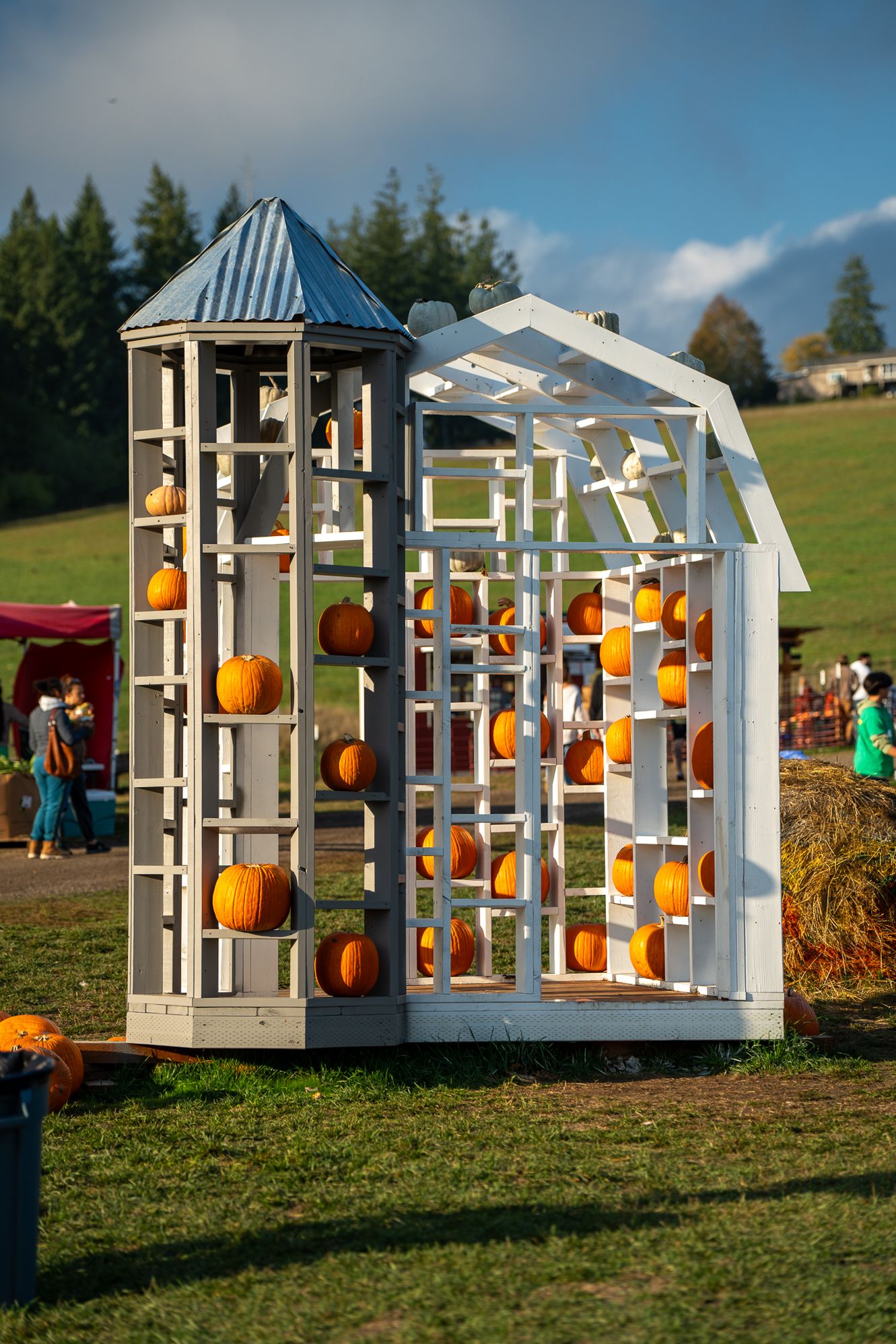 Row of white decorative structures filled with orange pumpkins displayed on grassy field.