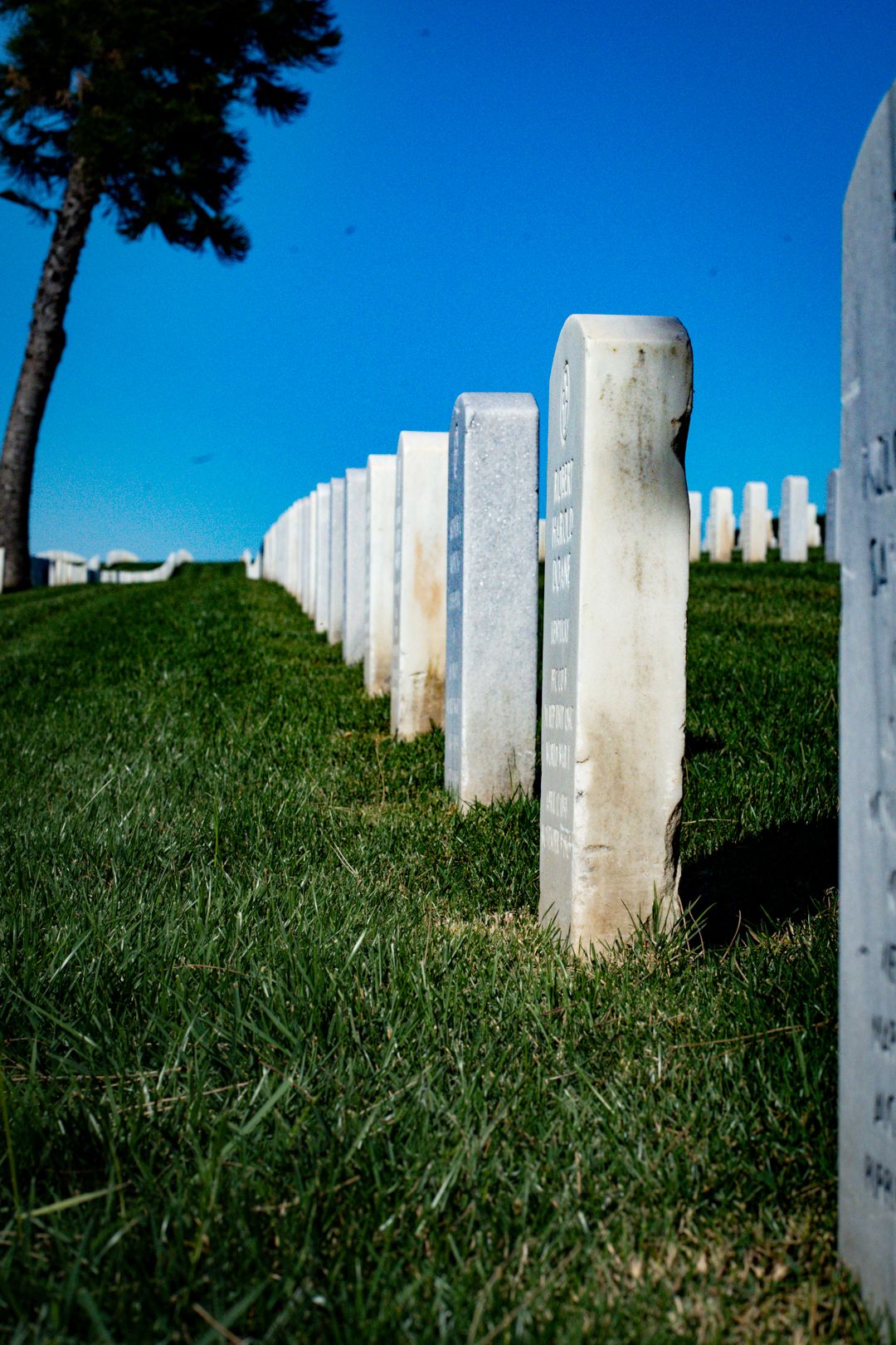 White memorial markers stand in rows on grassy hillside against bright blue sky.