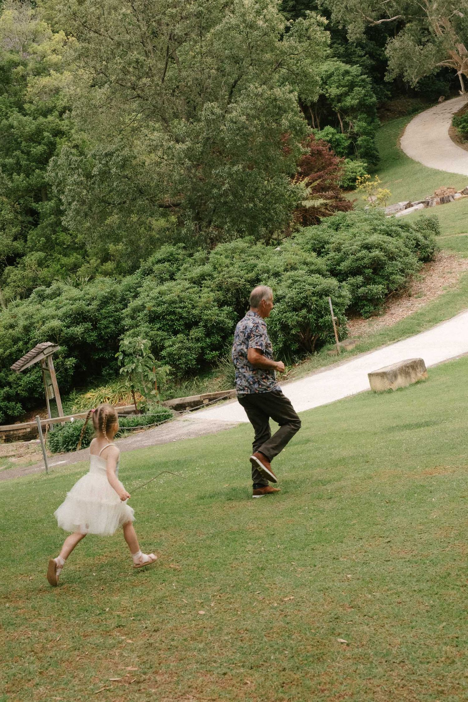 A sequence of photos showing people running up a grassy hill in a park setting on a sunny day.