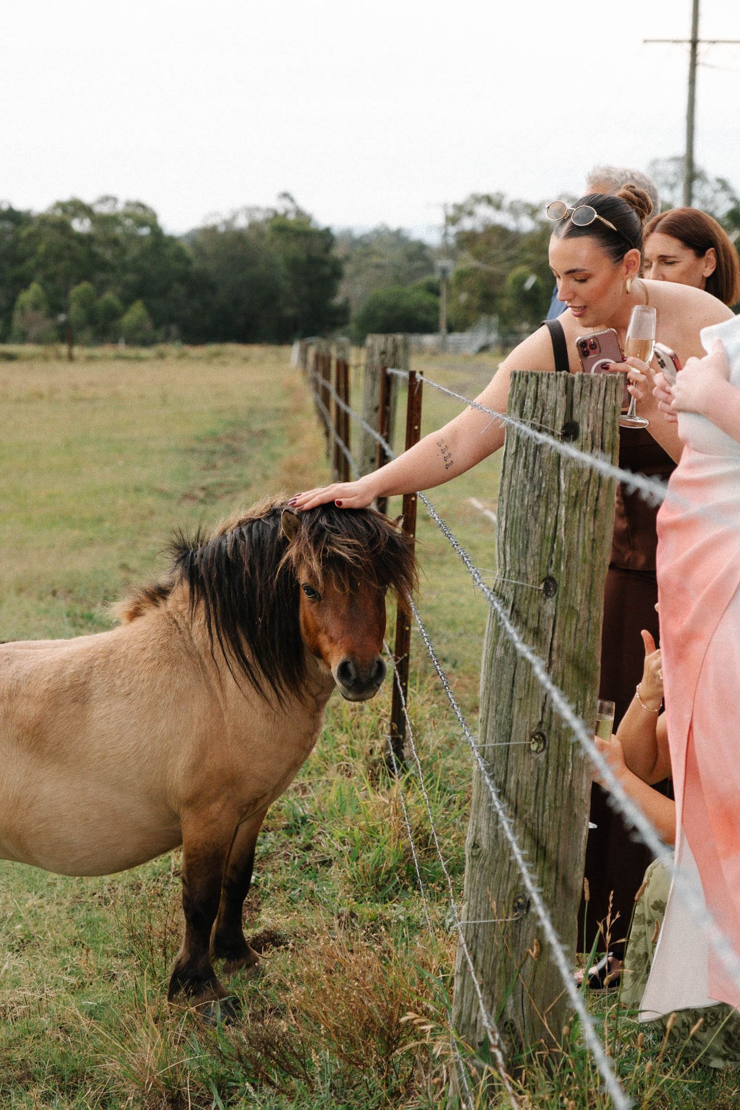 A brown pony reaches through a wire fence to interact with someone in a peach-colored dress.