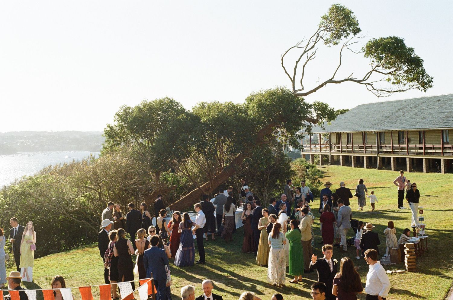 Wedding guests in formal attire gather on a sunny lawn beside a coastal lodge with sweeping water views and windswept trees.