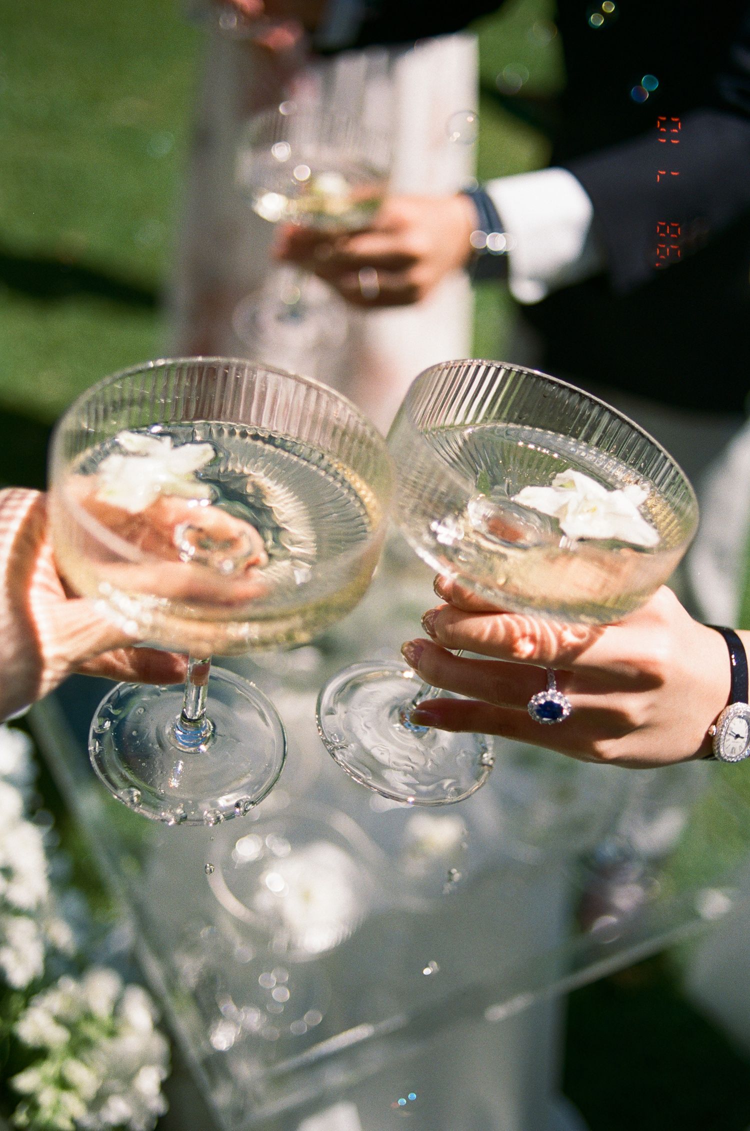 Two hands clink coupe glasses of champagne topped with white flowers at an outdoor celebration, one wearing a sapphire ring.