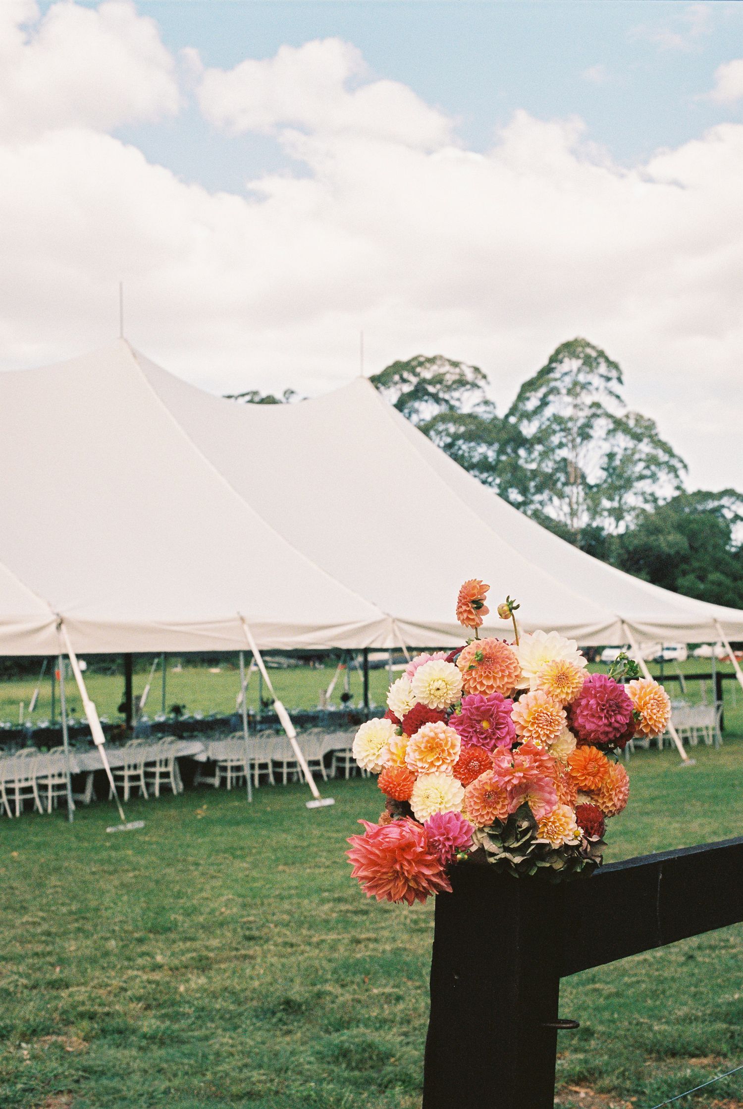 Colorful pink, orange and peach dahlias on a wooden fence post in front of a white wedding marquee with tables set up on a green lawn.