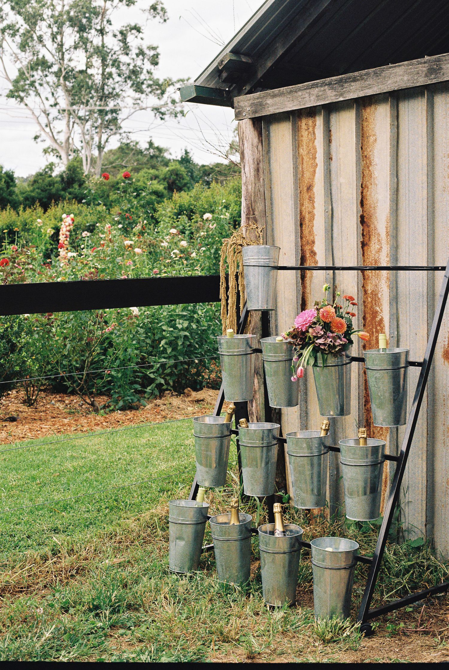 Galvanized metal buckets hang on a rustic ladder-style rack beside a weathered timber shed, with fresh pink flowers and a garden behind.