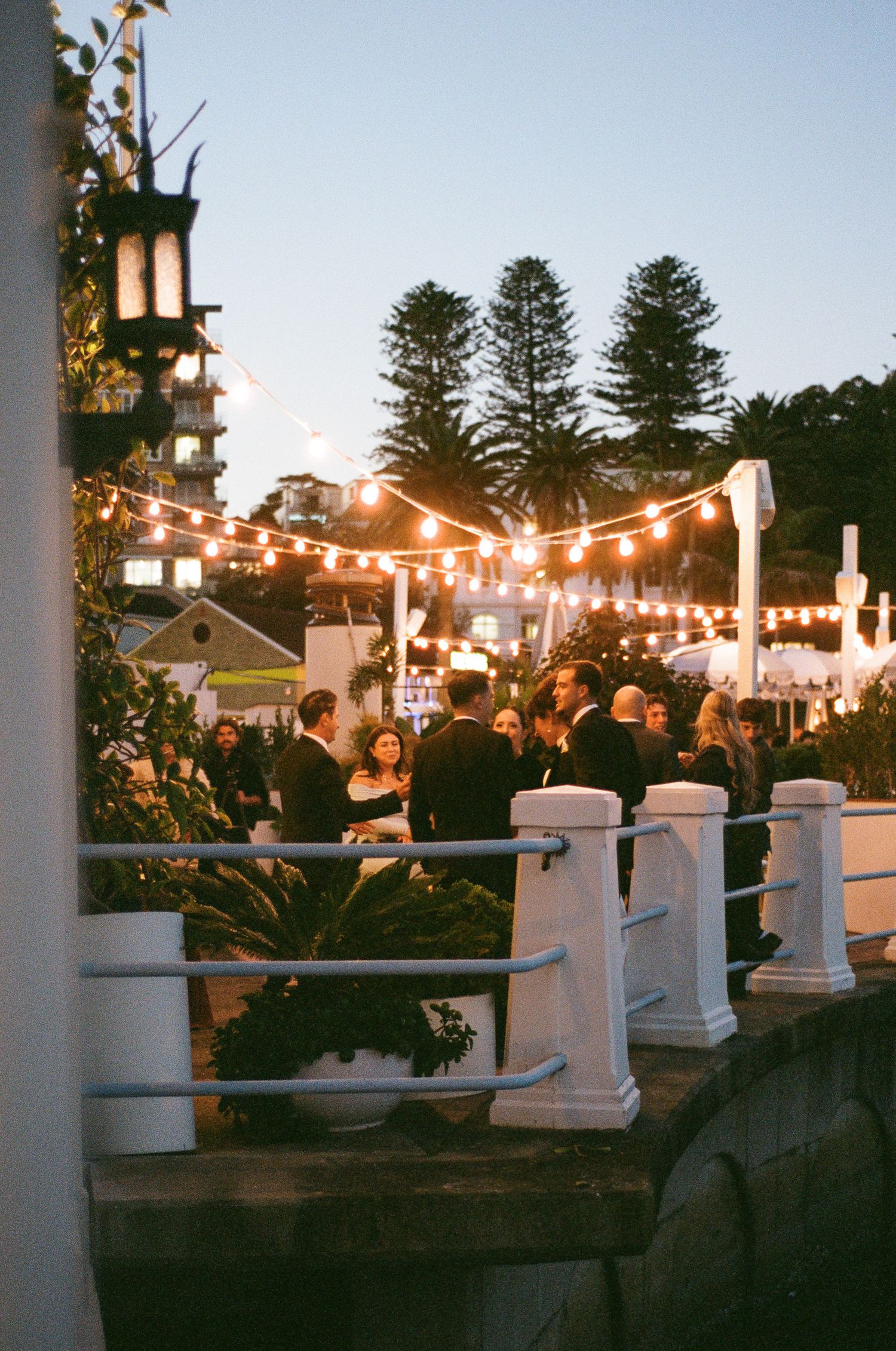 Wedding guests in formal attire mingle on a waterside terrace at dusk beneath glowing string lights and tall Norfolk pines.