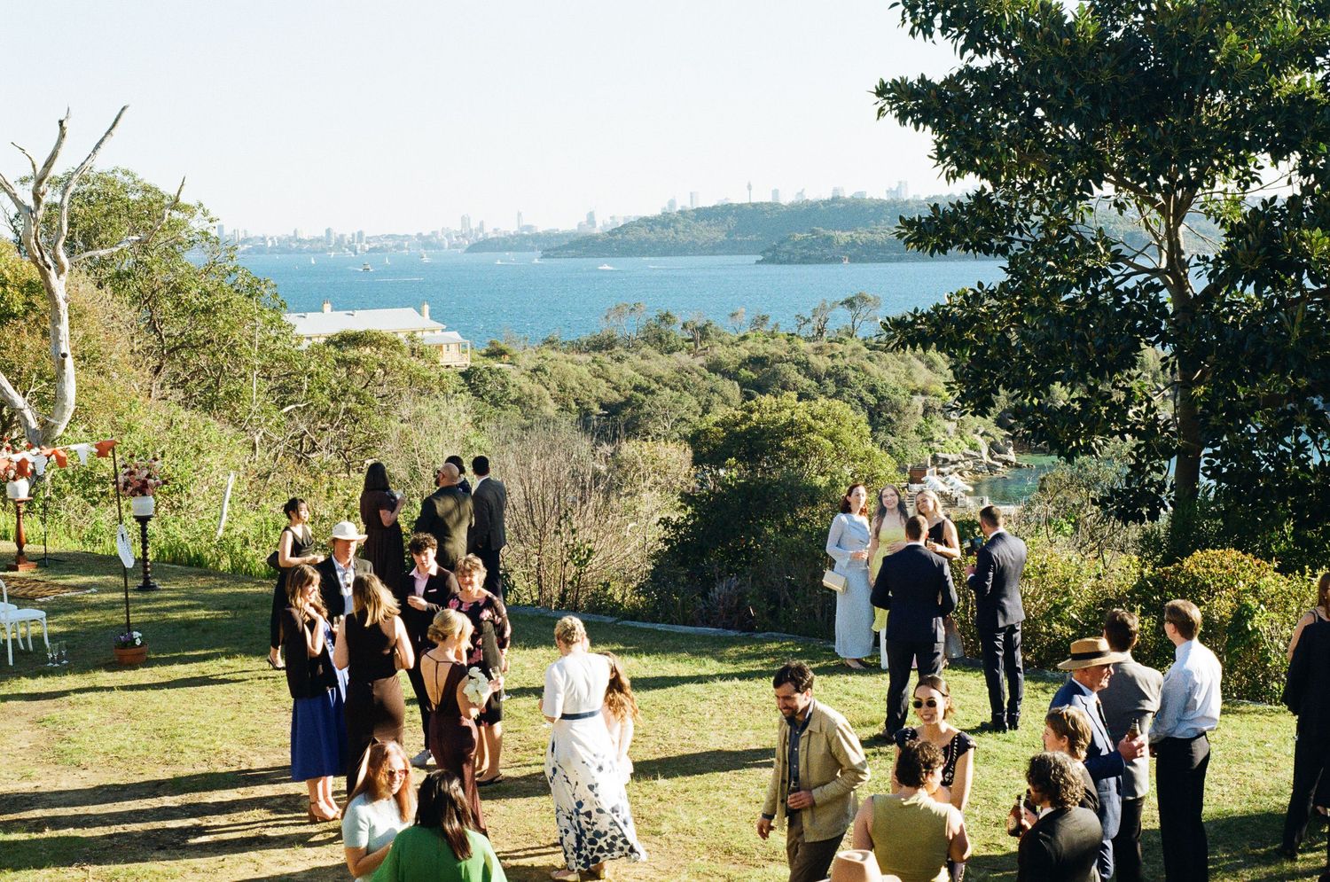 Wedding guests in formal attire gather on a sunny grassy hillside overlooking a sparkling harbor and distant city skyline.