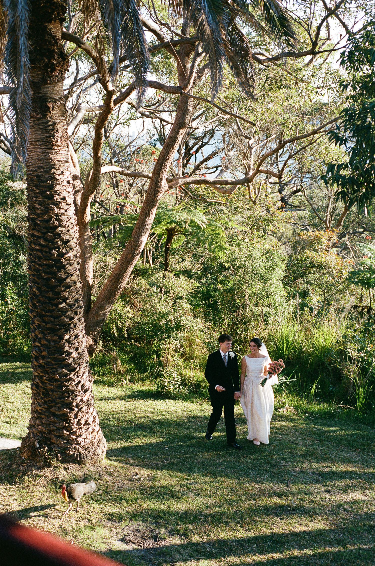 A bride in a white gown and a groom in a dark suit walk together on a sunlit lawn beside a palm tree and lush garden trees.